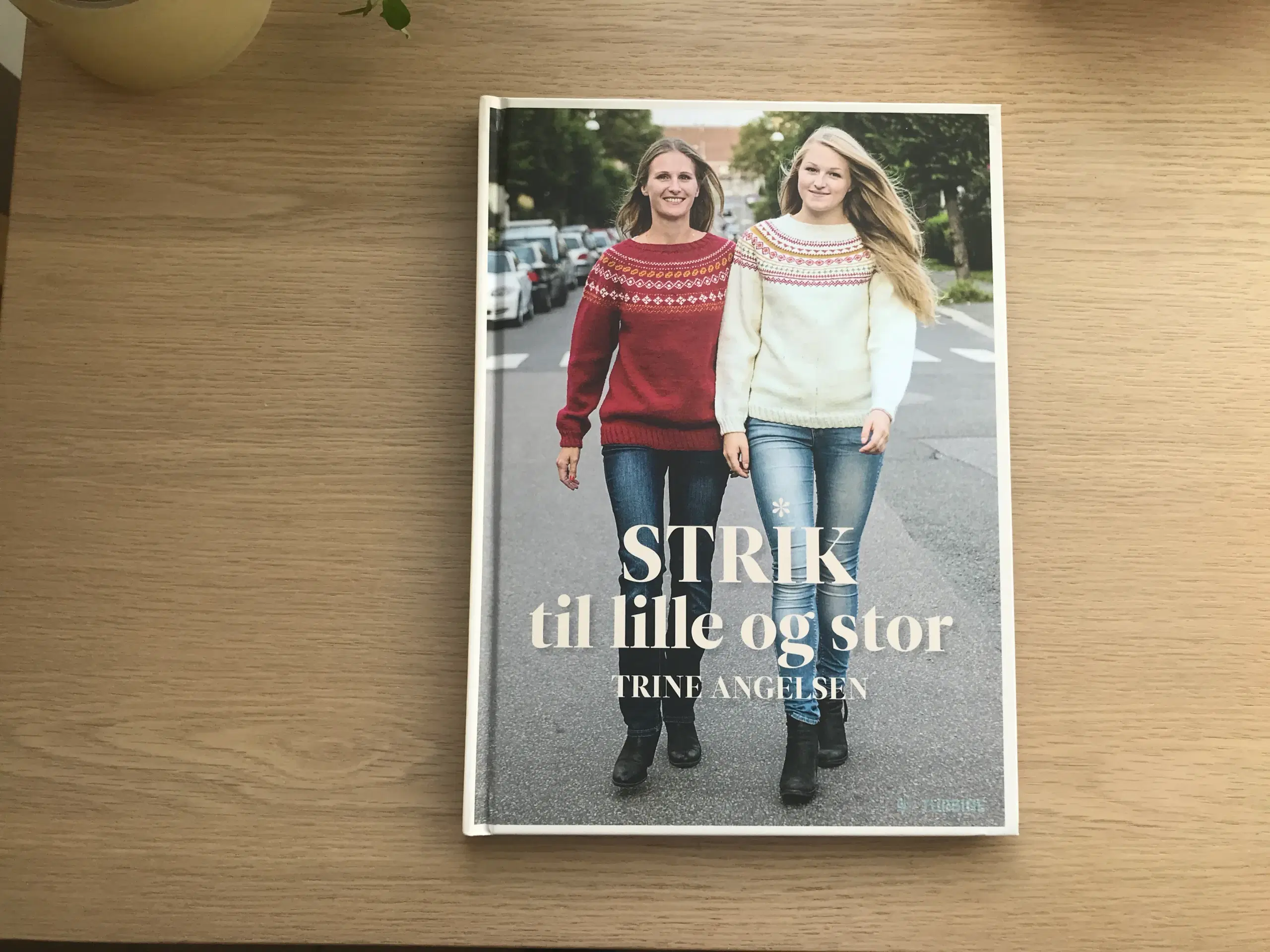 Strik til lille og stor  af Trine Angelsen