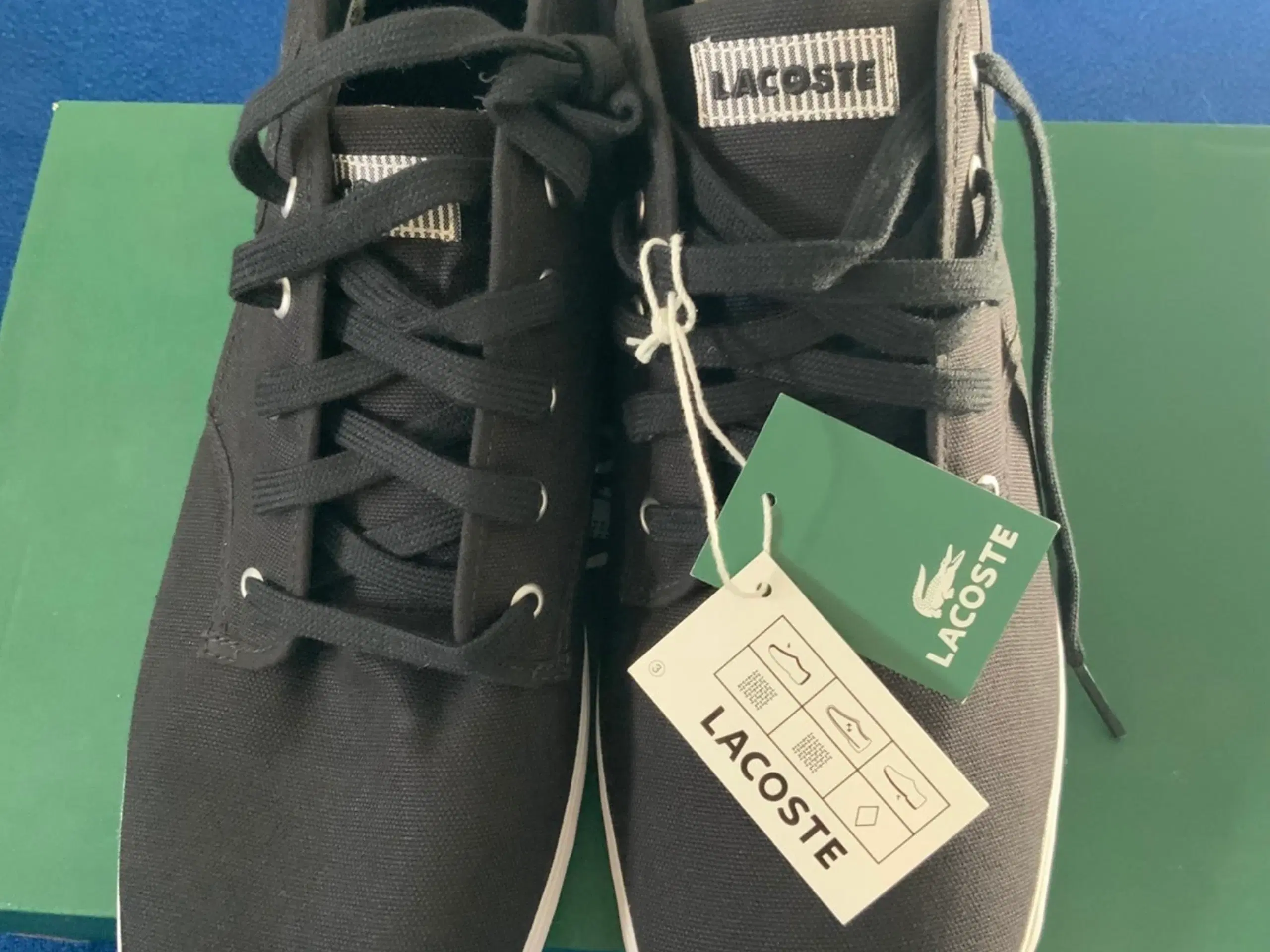 Lacoste sneakers sort