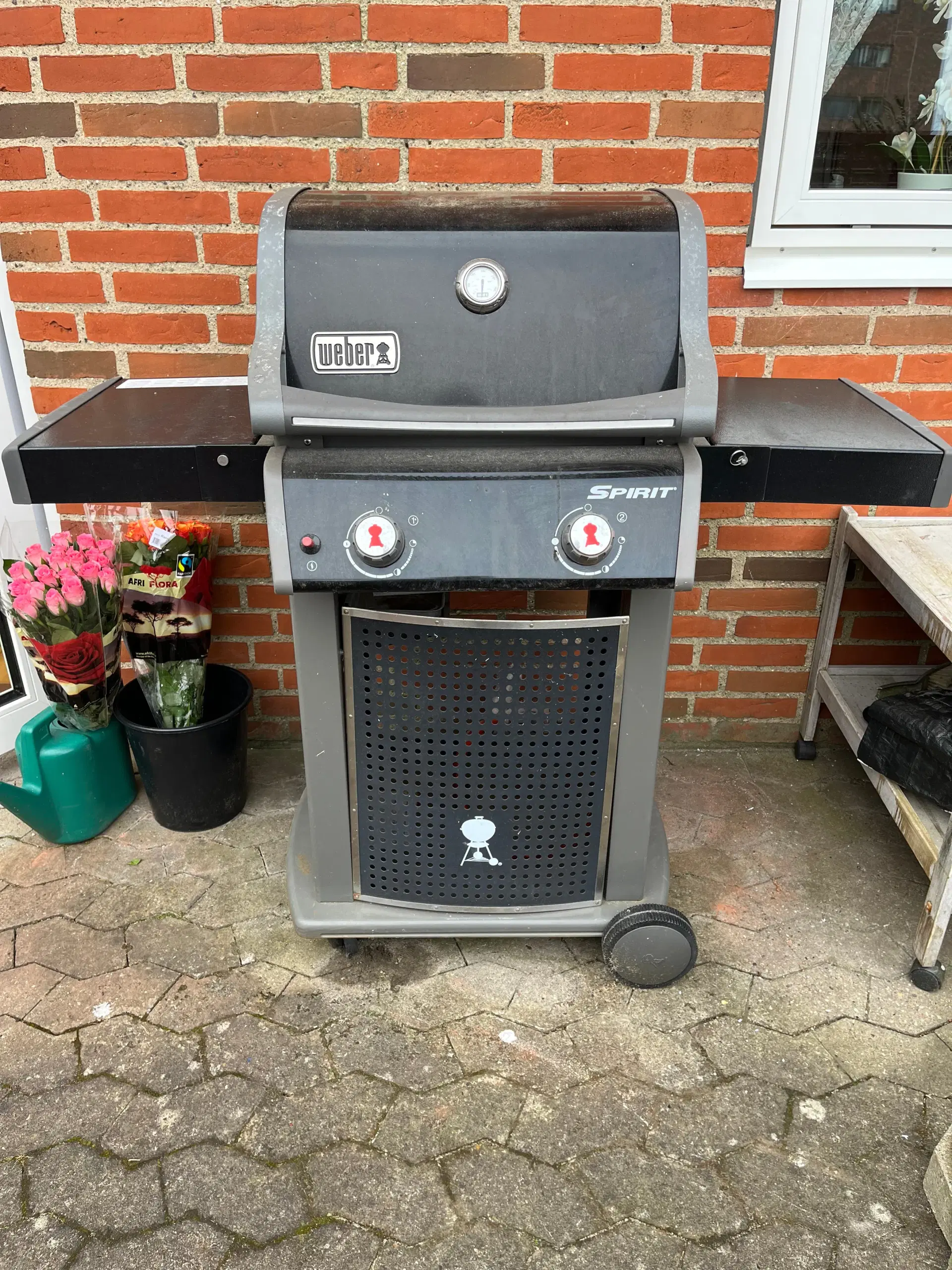 Weber Gasgrill Classic Spirit E-310