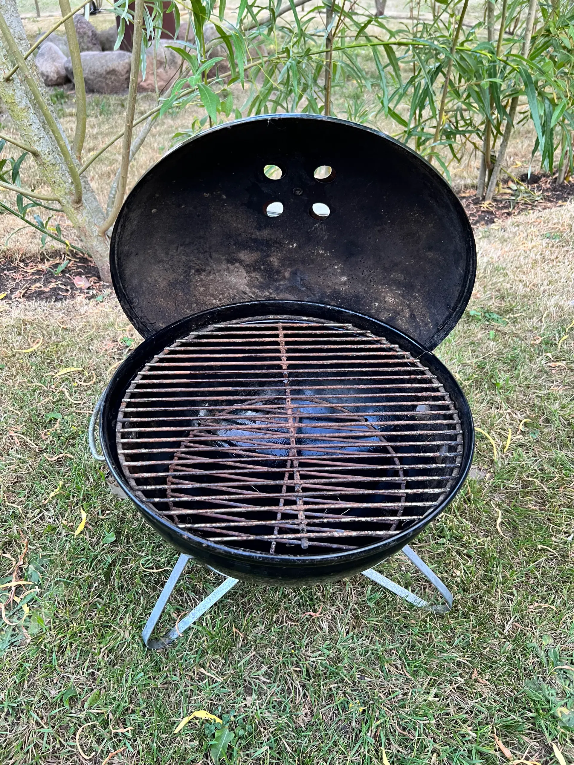 Weber Smokey Joe