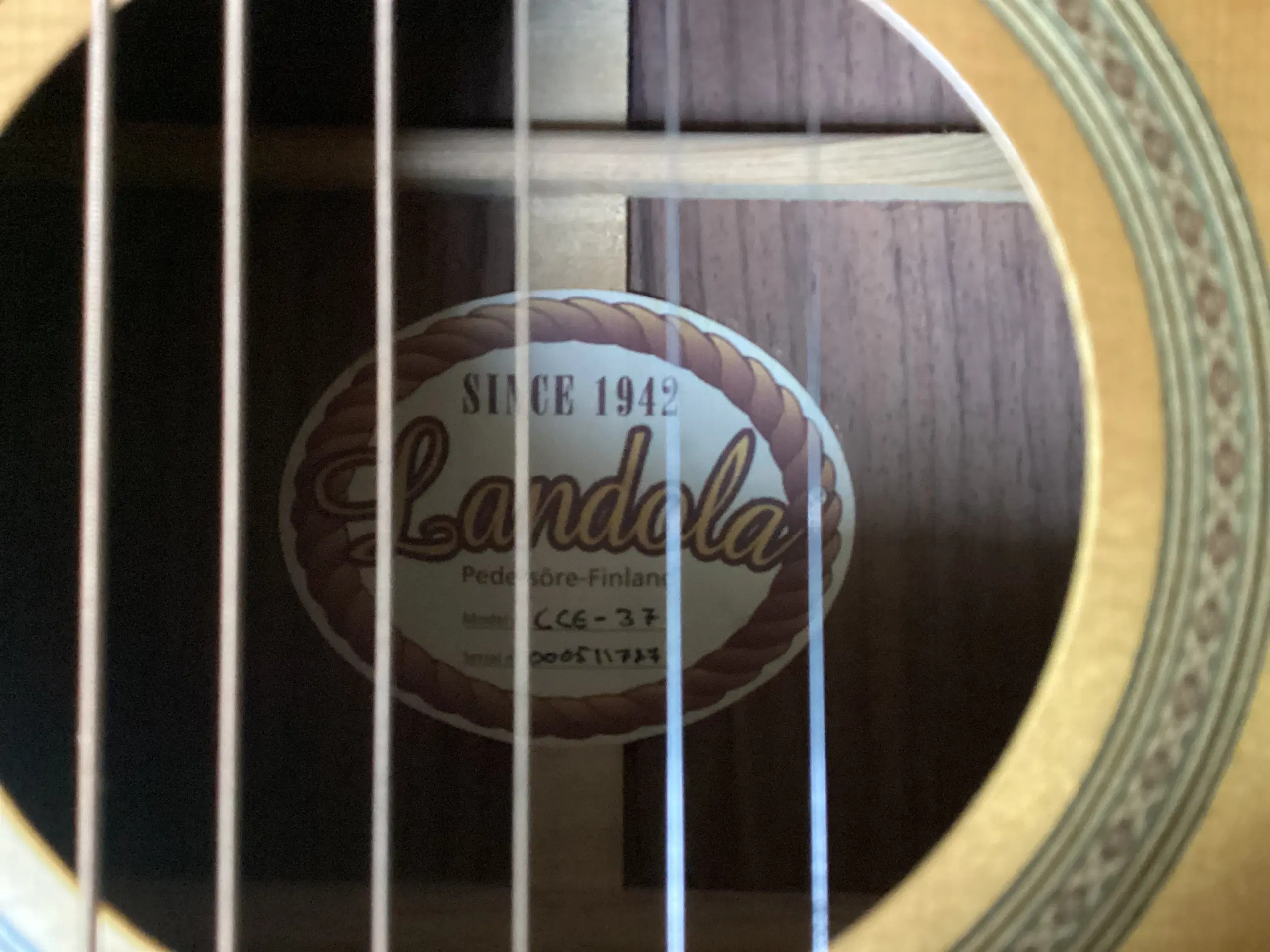 Landdola Western guitar