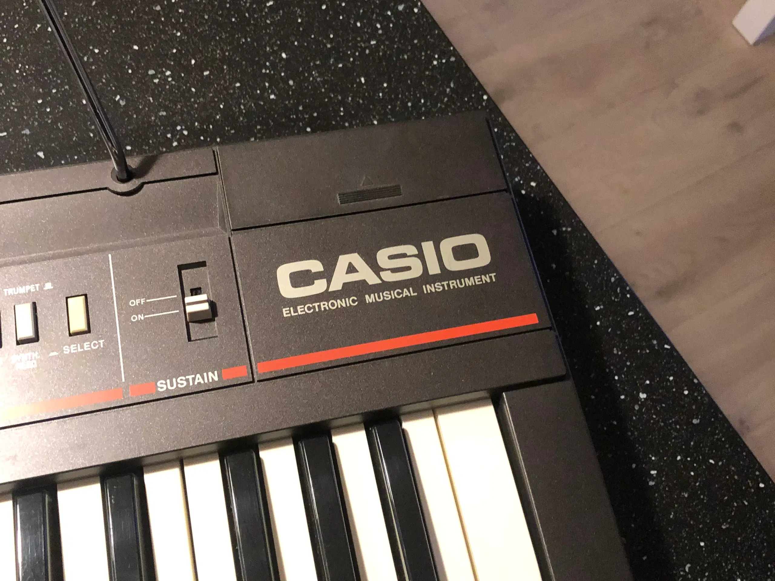 Casio el-orgel