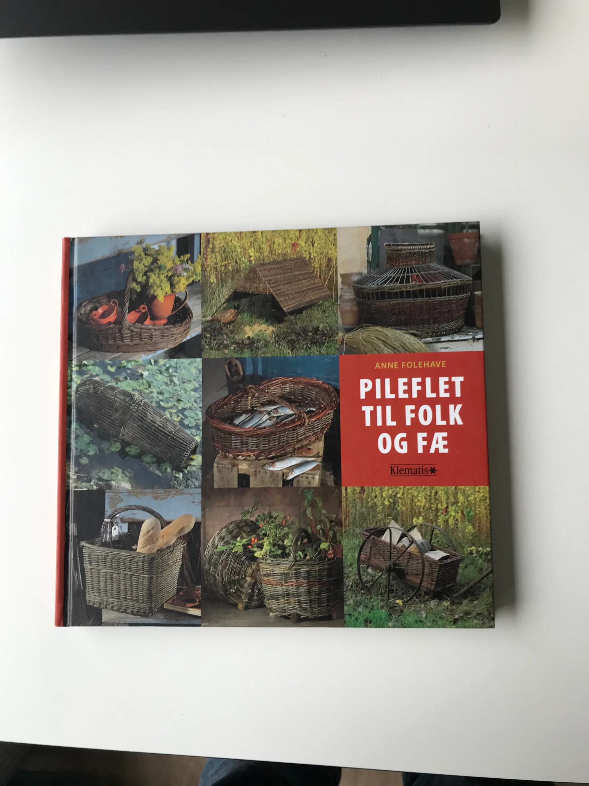 Pileflet til folk og fæ af Anne Folehave