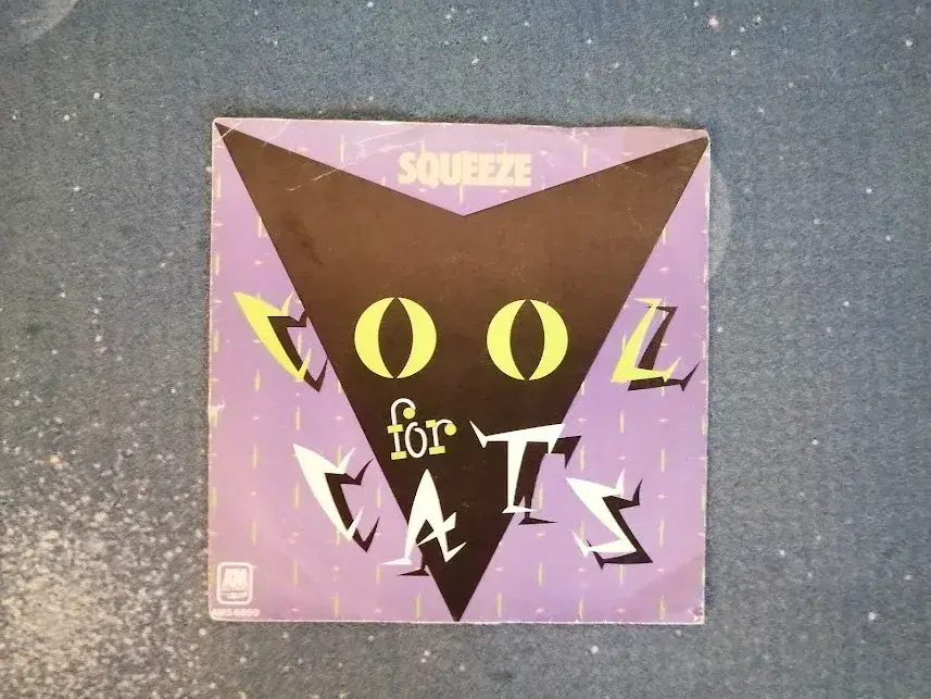 Squeeze Cool For Cats/Model