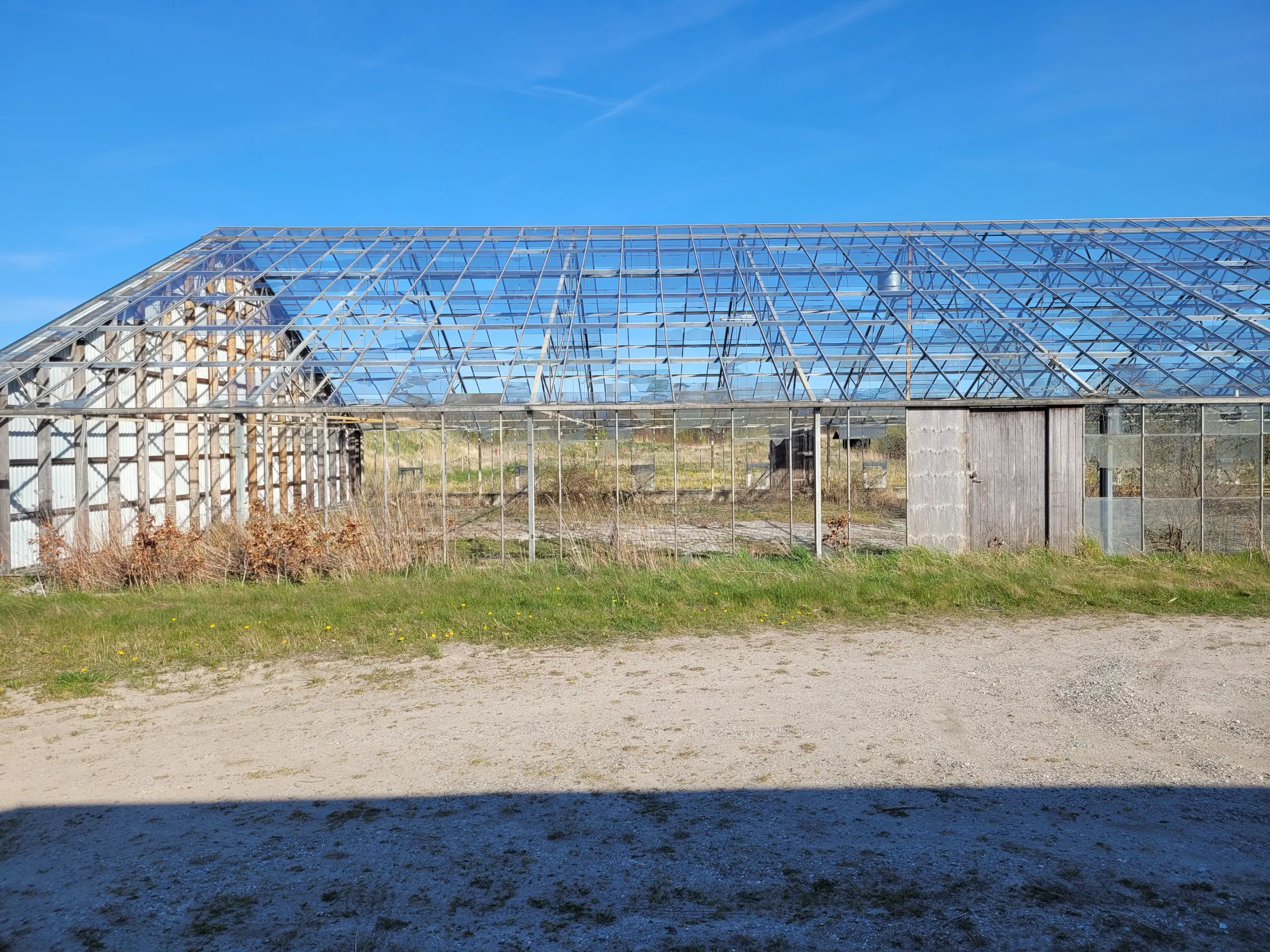 Drivhus på 1000 m2