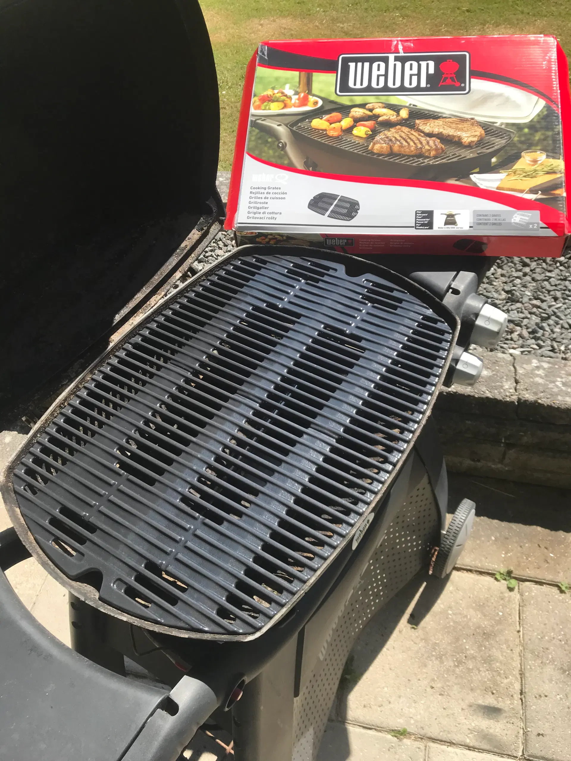 Weber Q3000