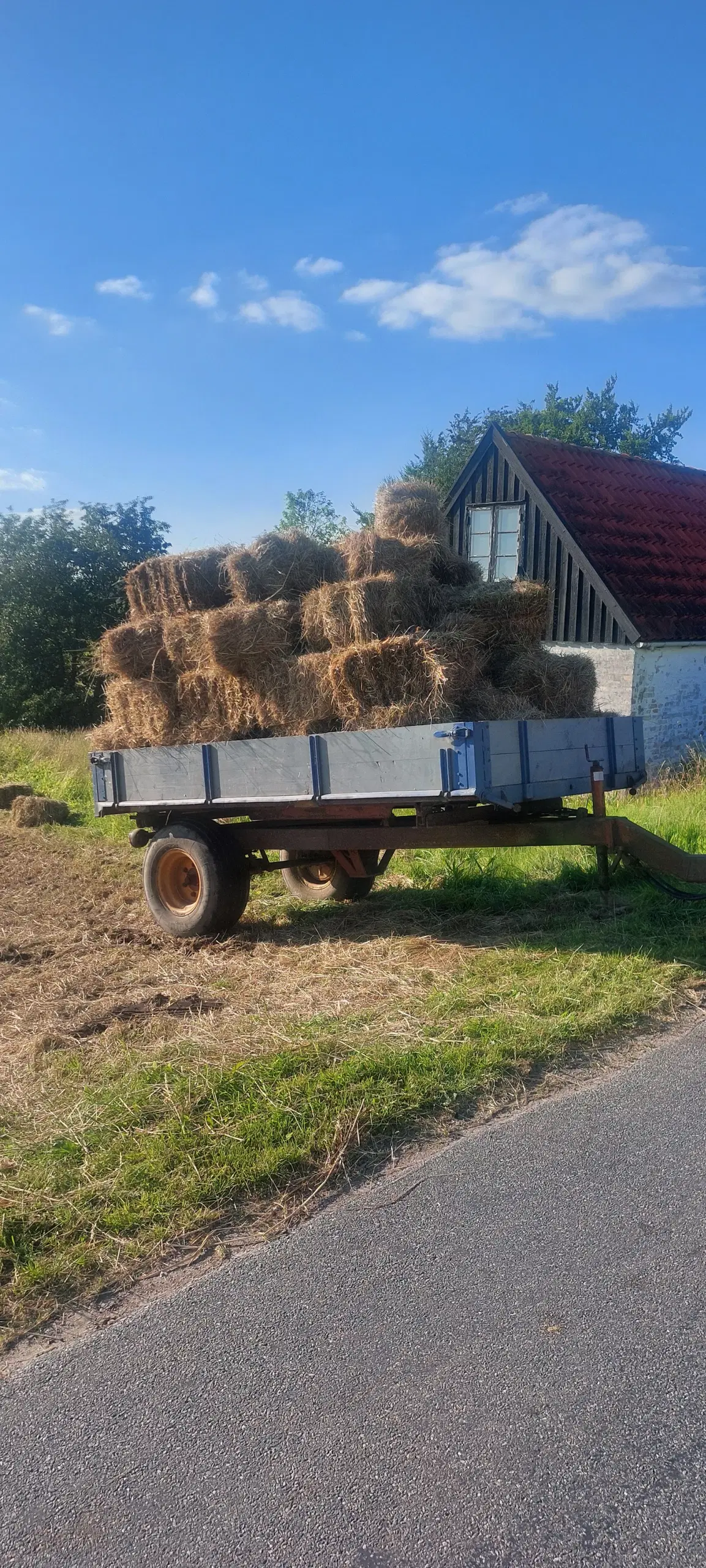 Hø I Morten Korch baller