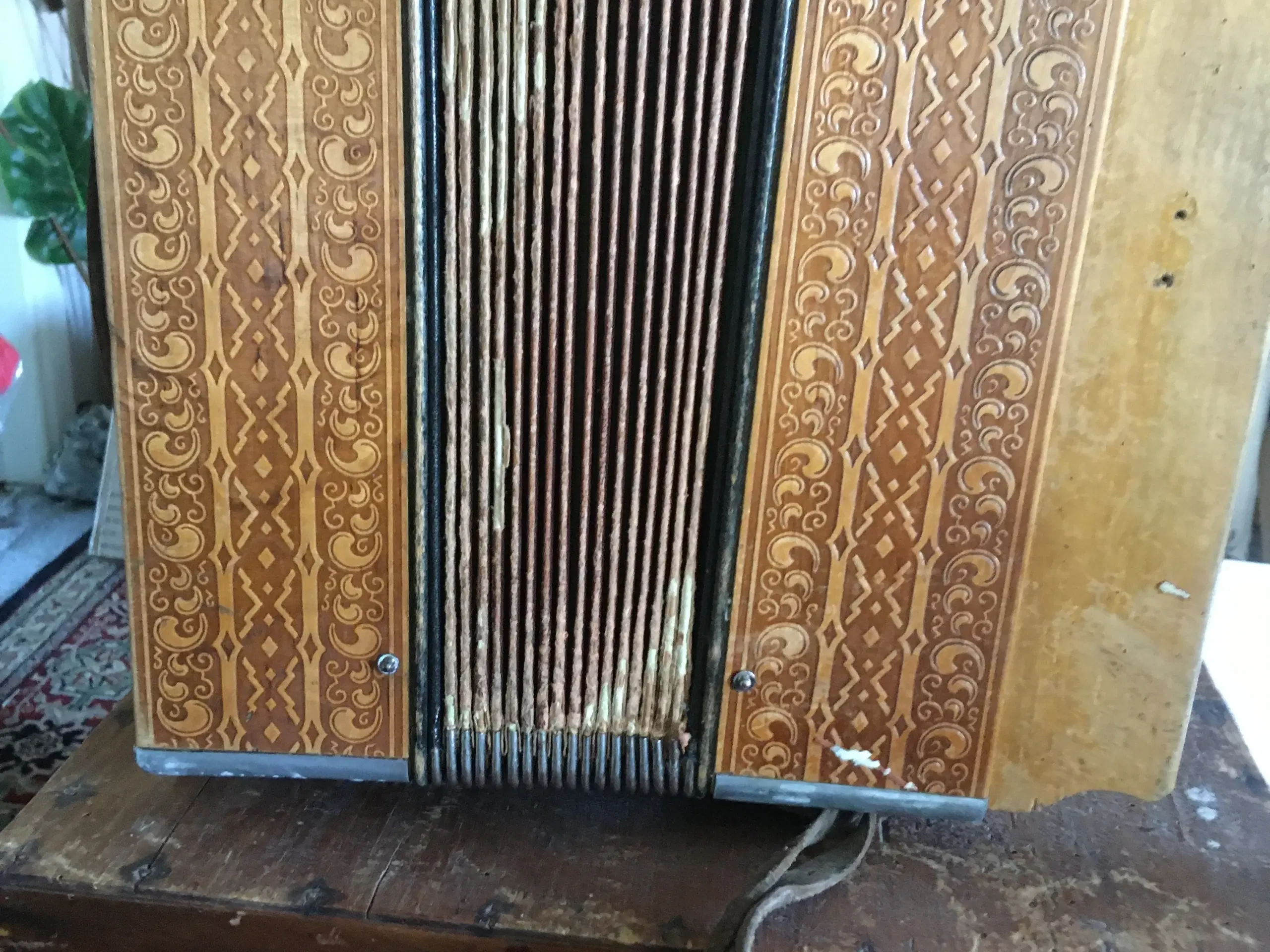 HARMONIKA  -  HOHNER ACCORDEON