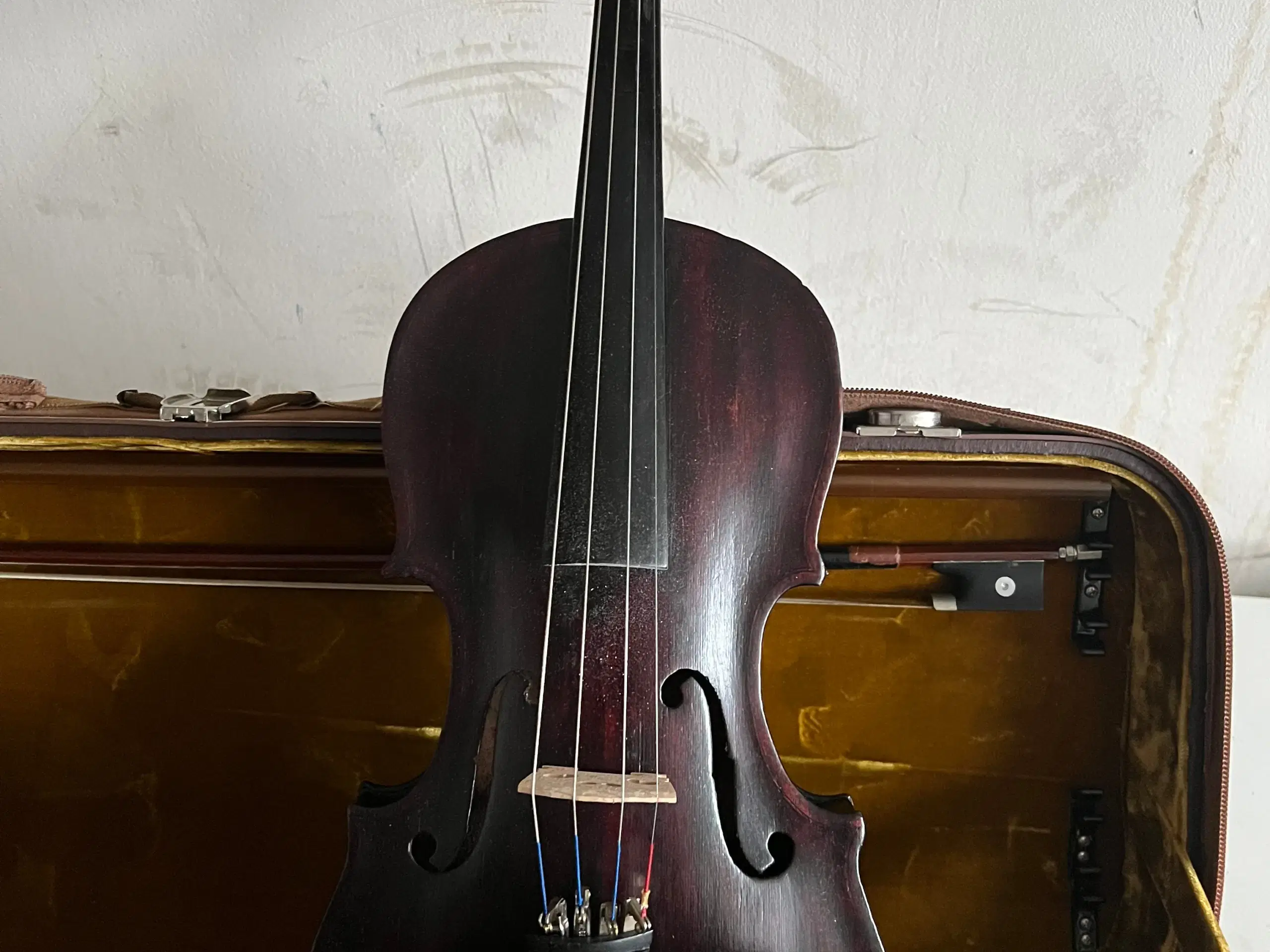 Violin