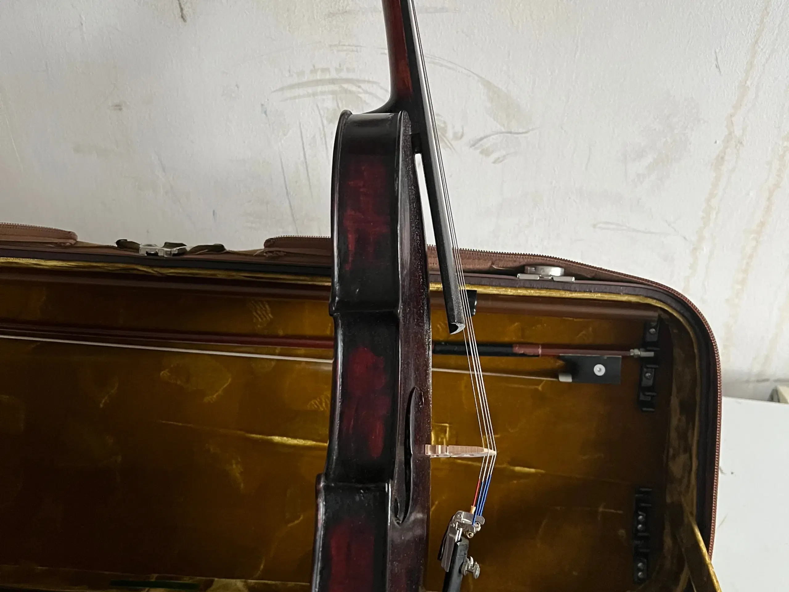 Violin