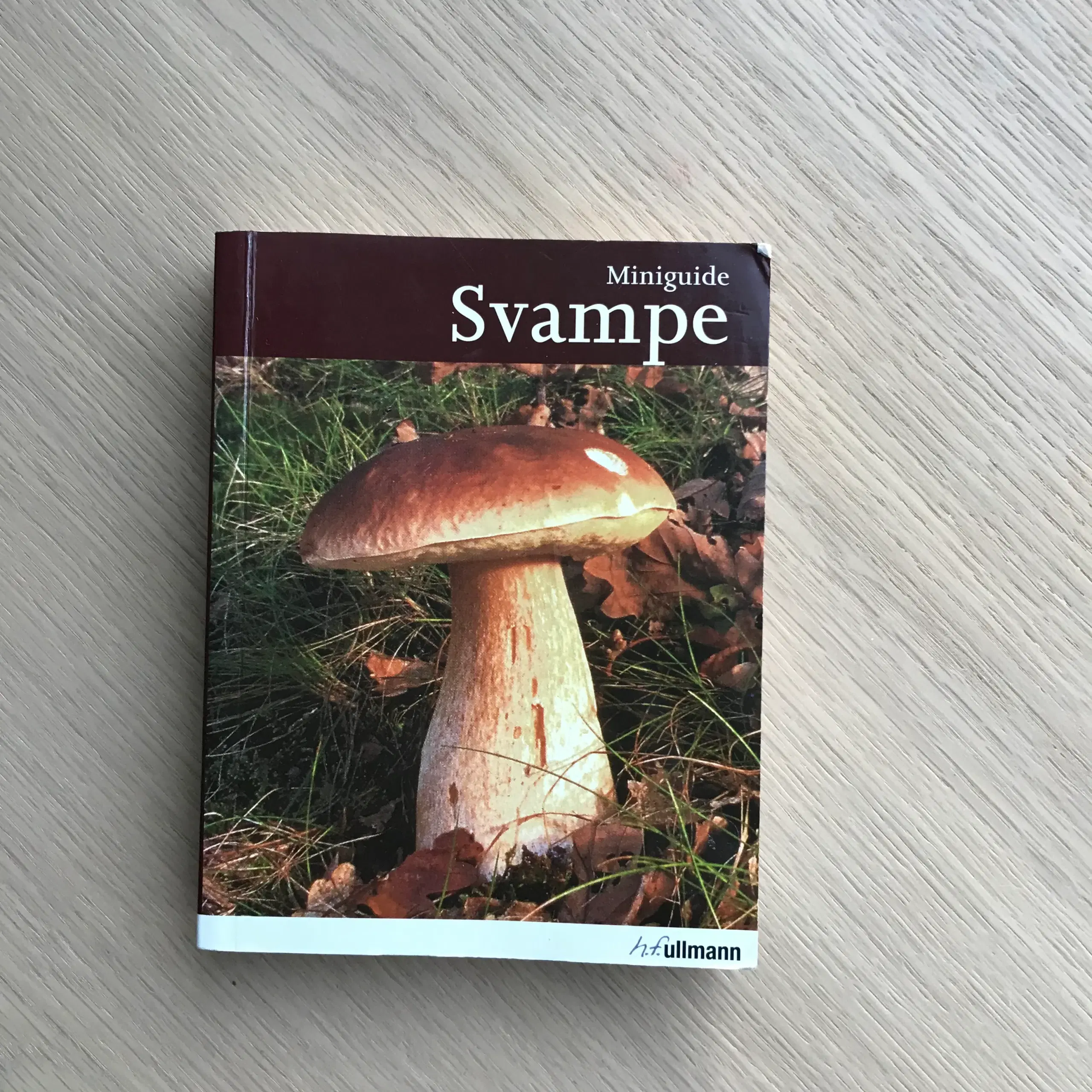 Miniguide Svampe