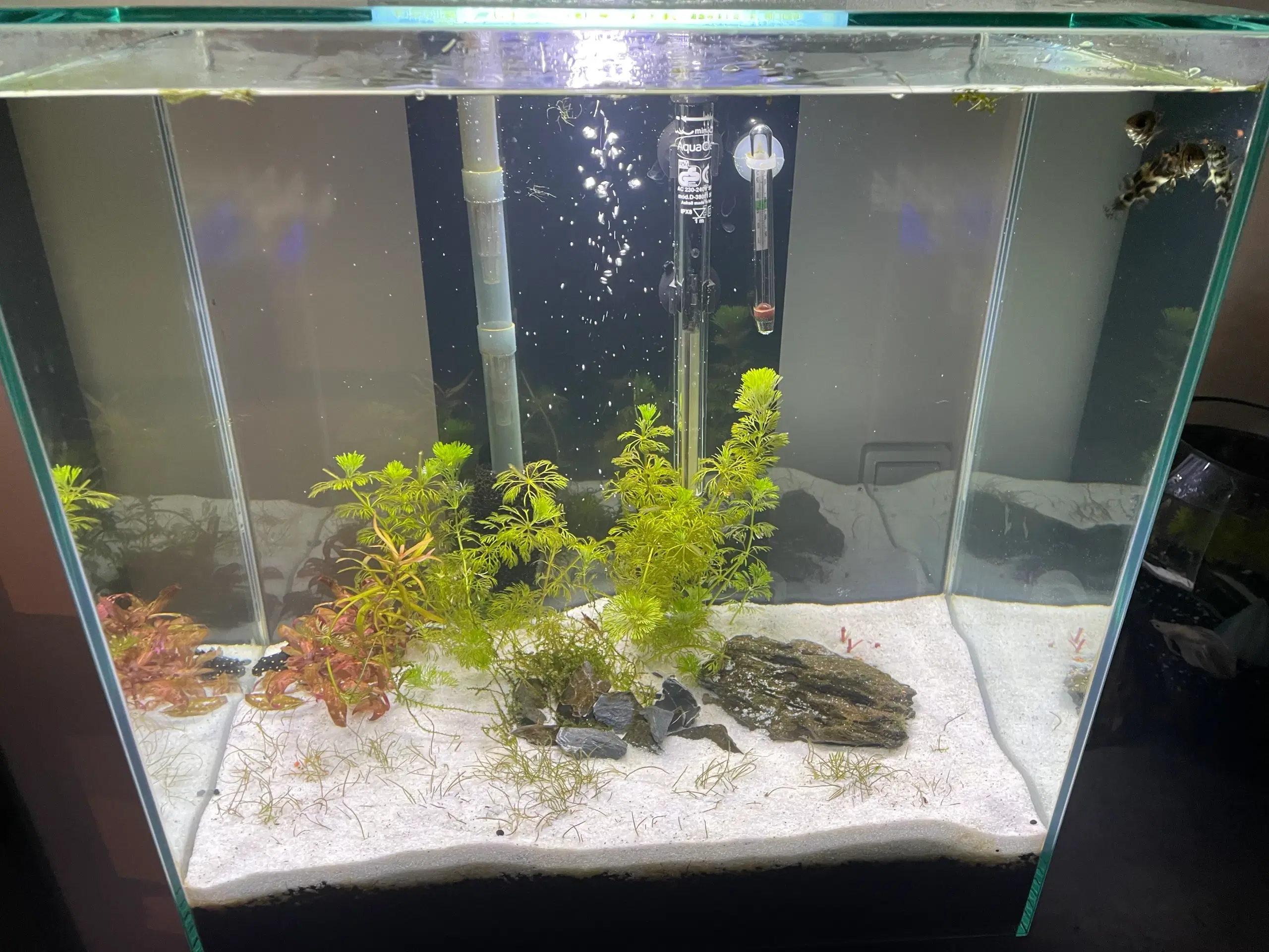 Fluval Edge akvarie 46 L