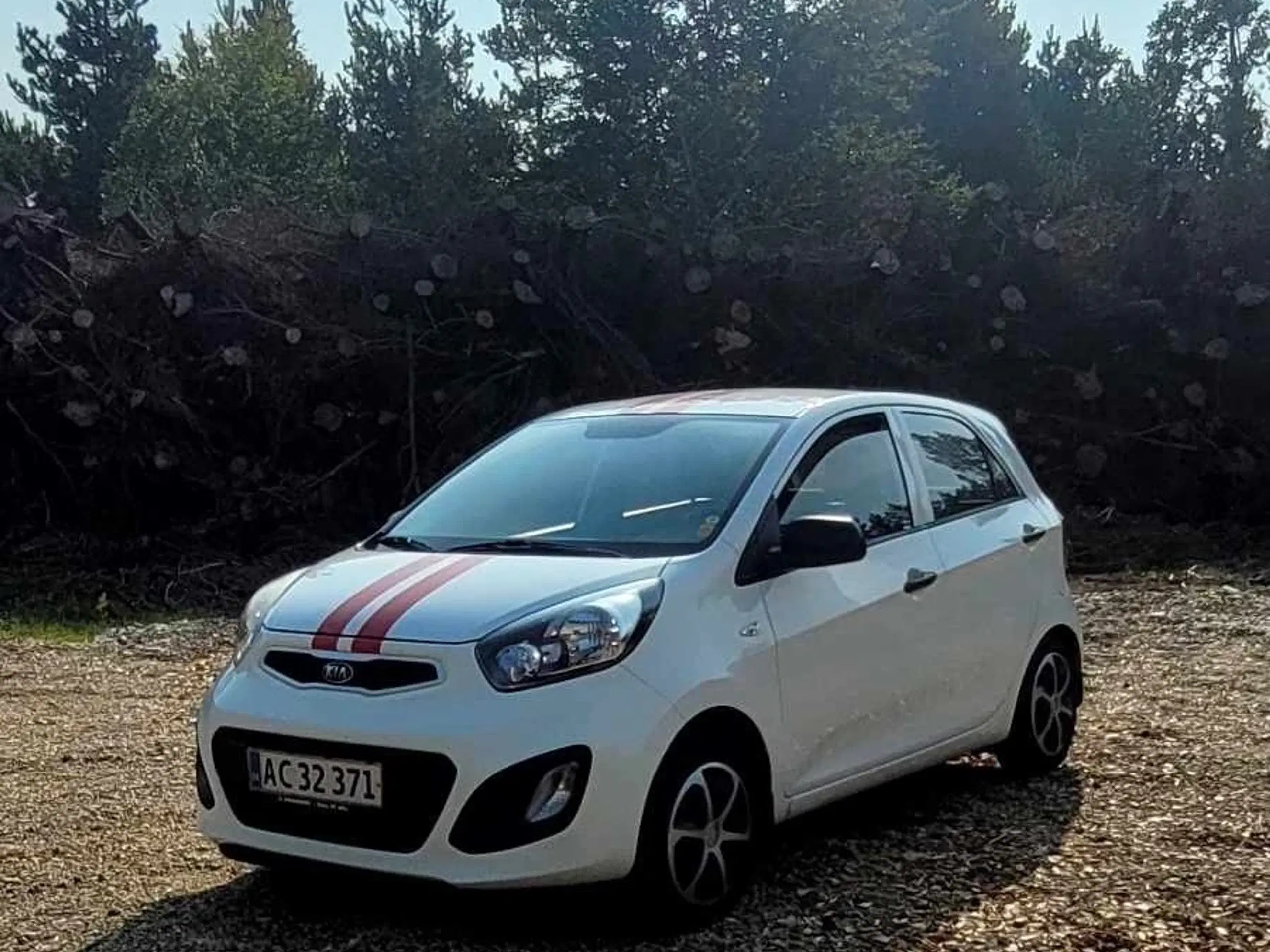 Frisk Kia picanto