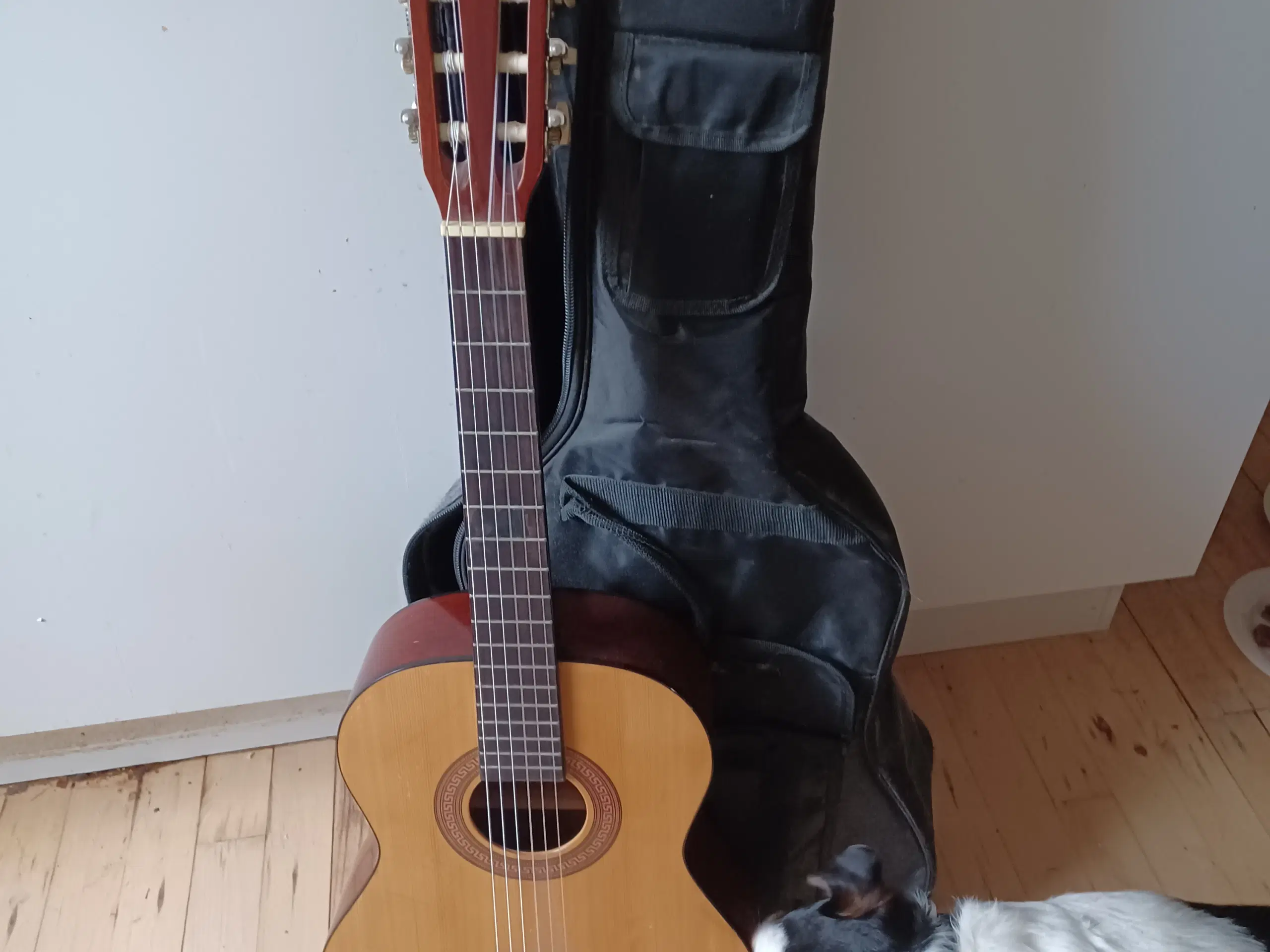 Pæn guitar  med etui til salg