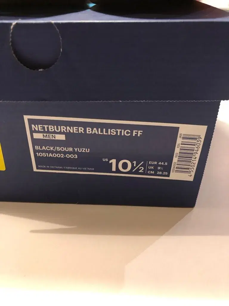 Asics indendørs sko