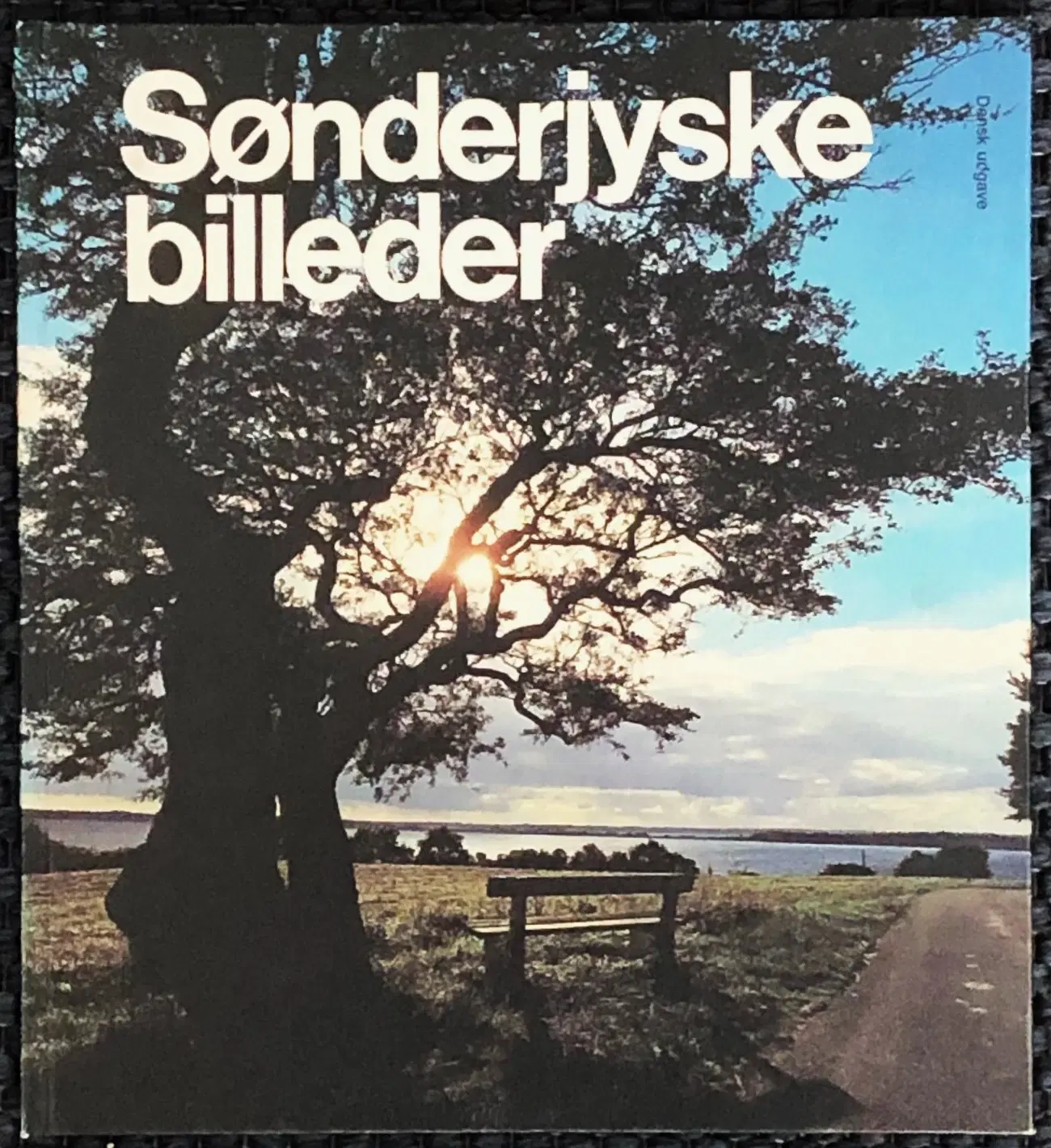 Sønderjyske billeder 1981