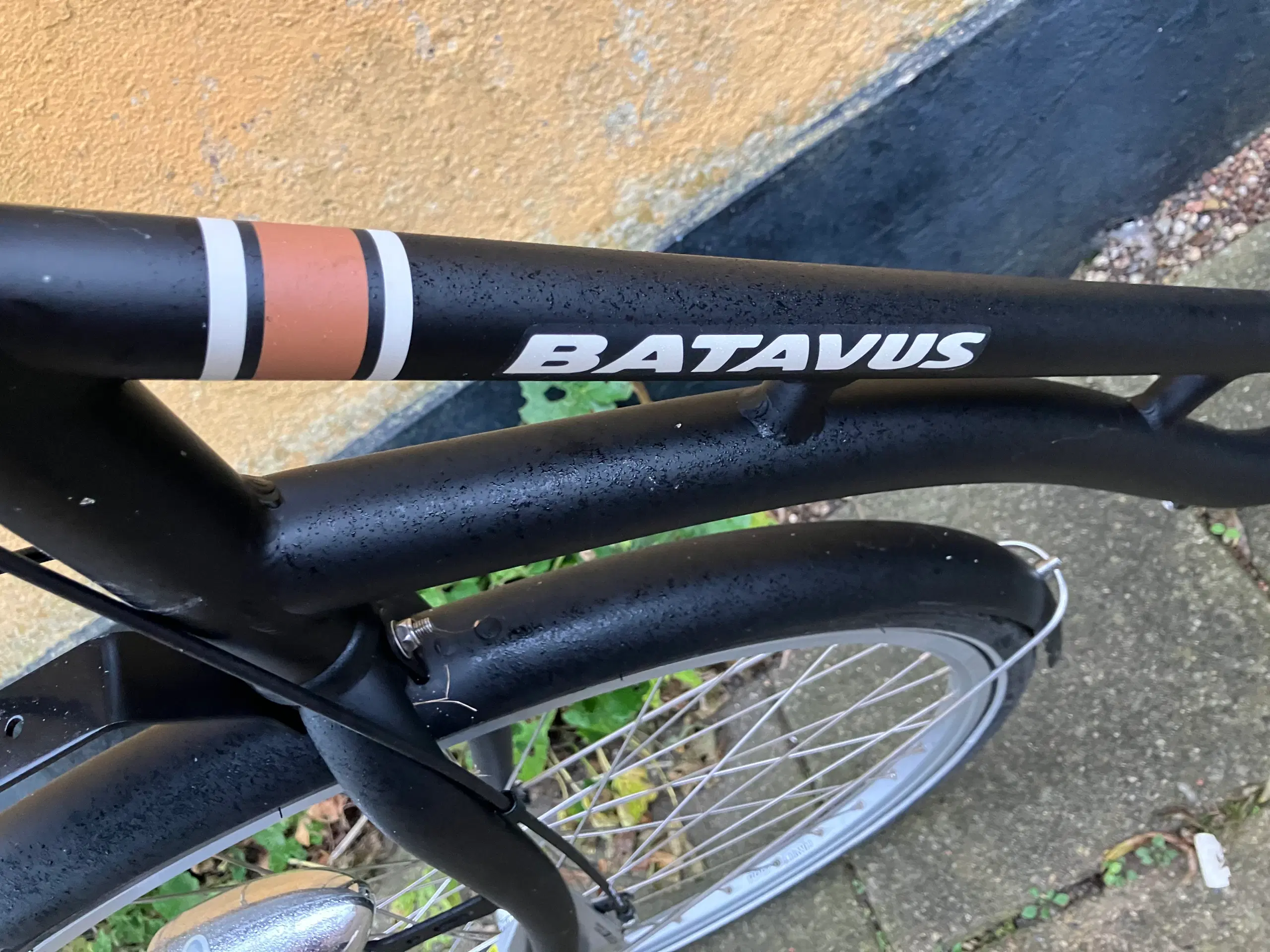 Batavus Dover LTD