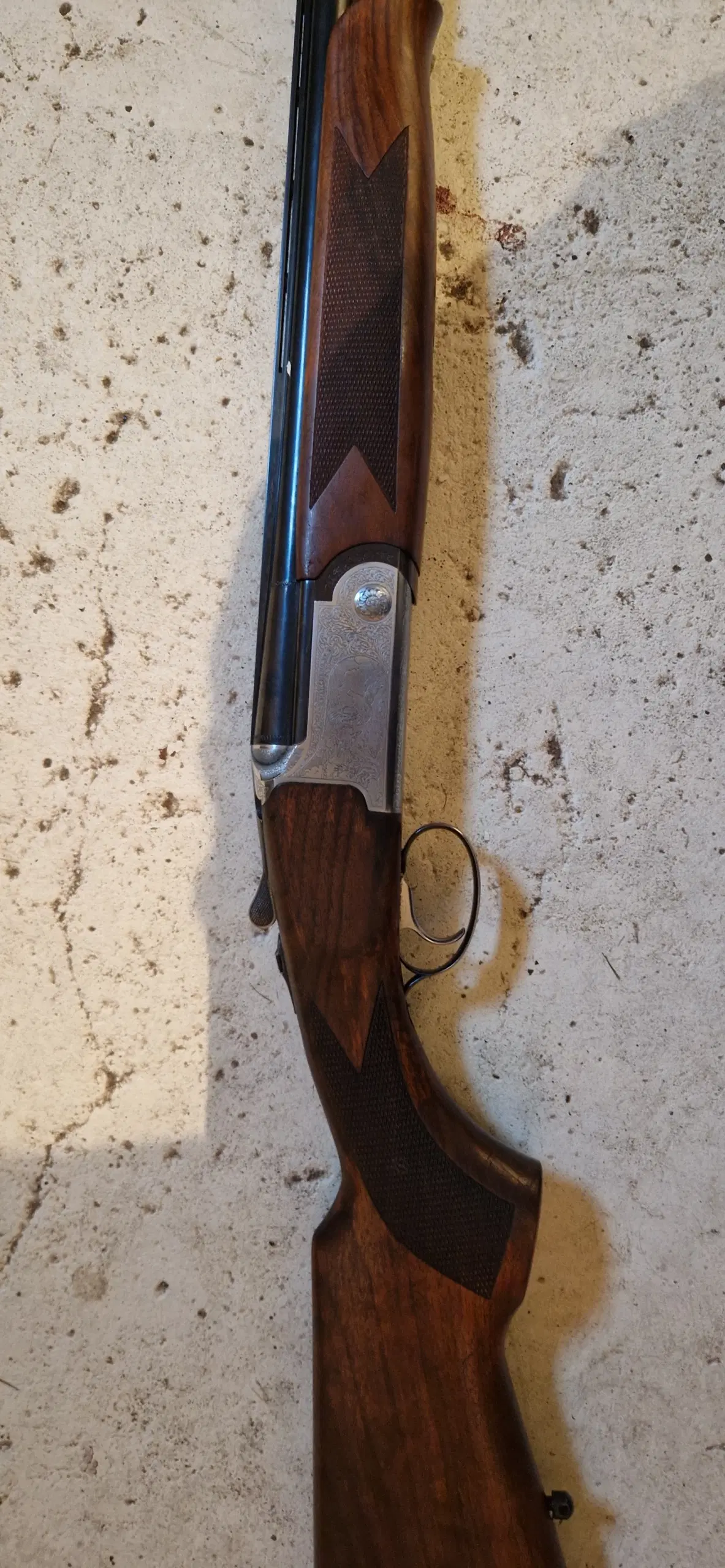 rizzini jaguar white diamond