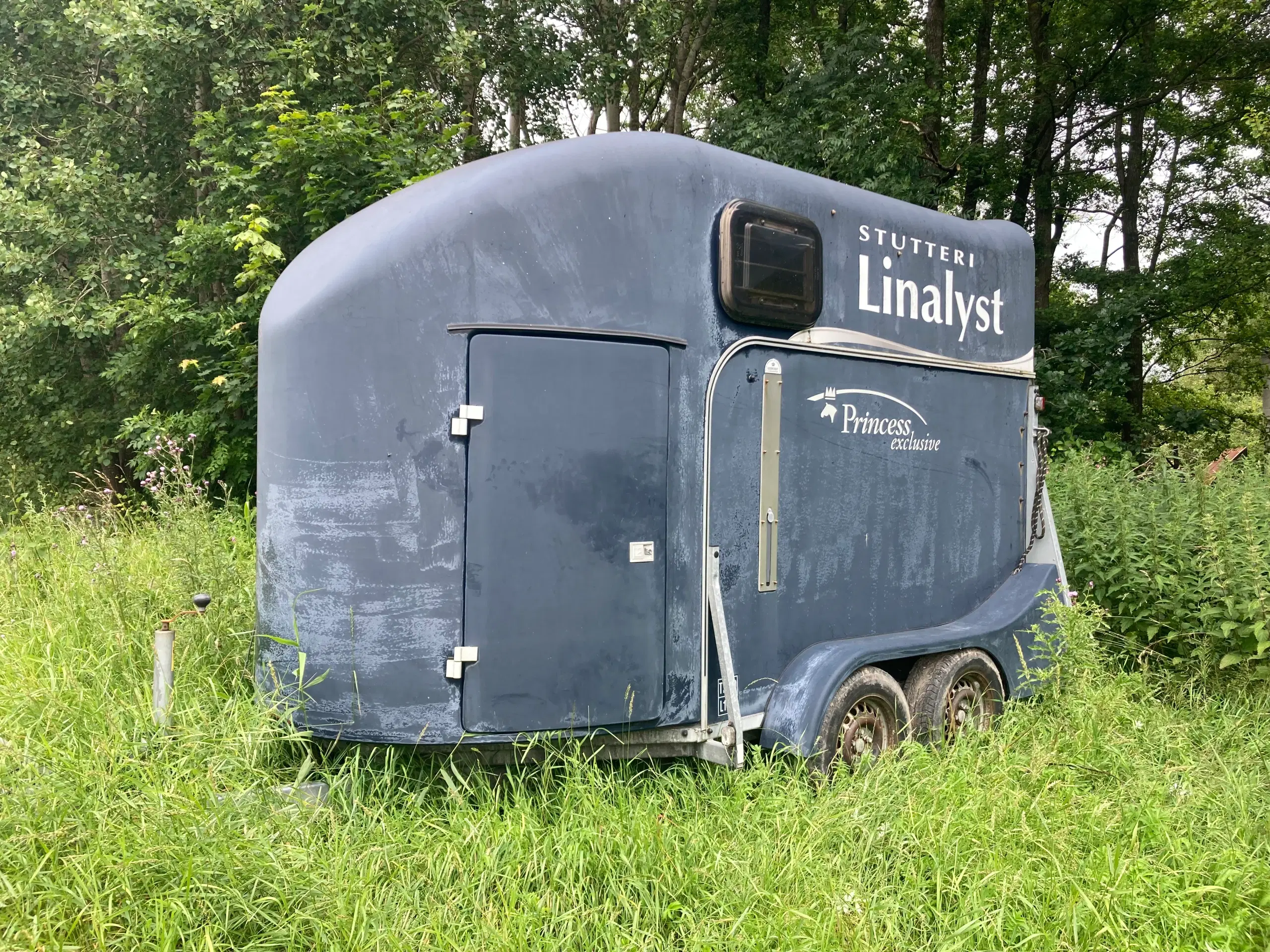 Hestetrailer i glasfiber med indmad