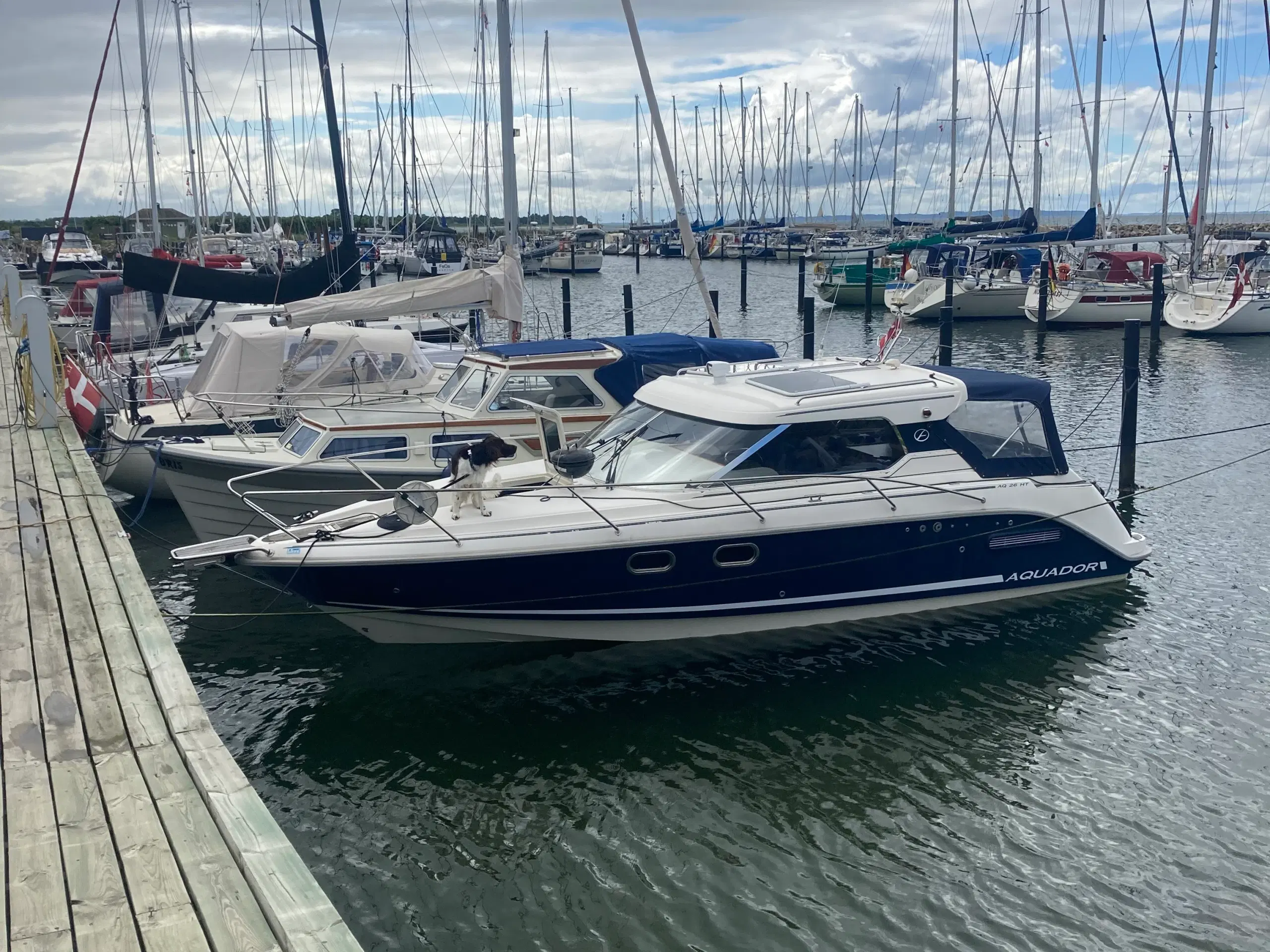 Aqua Dor 26HT