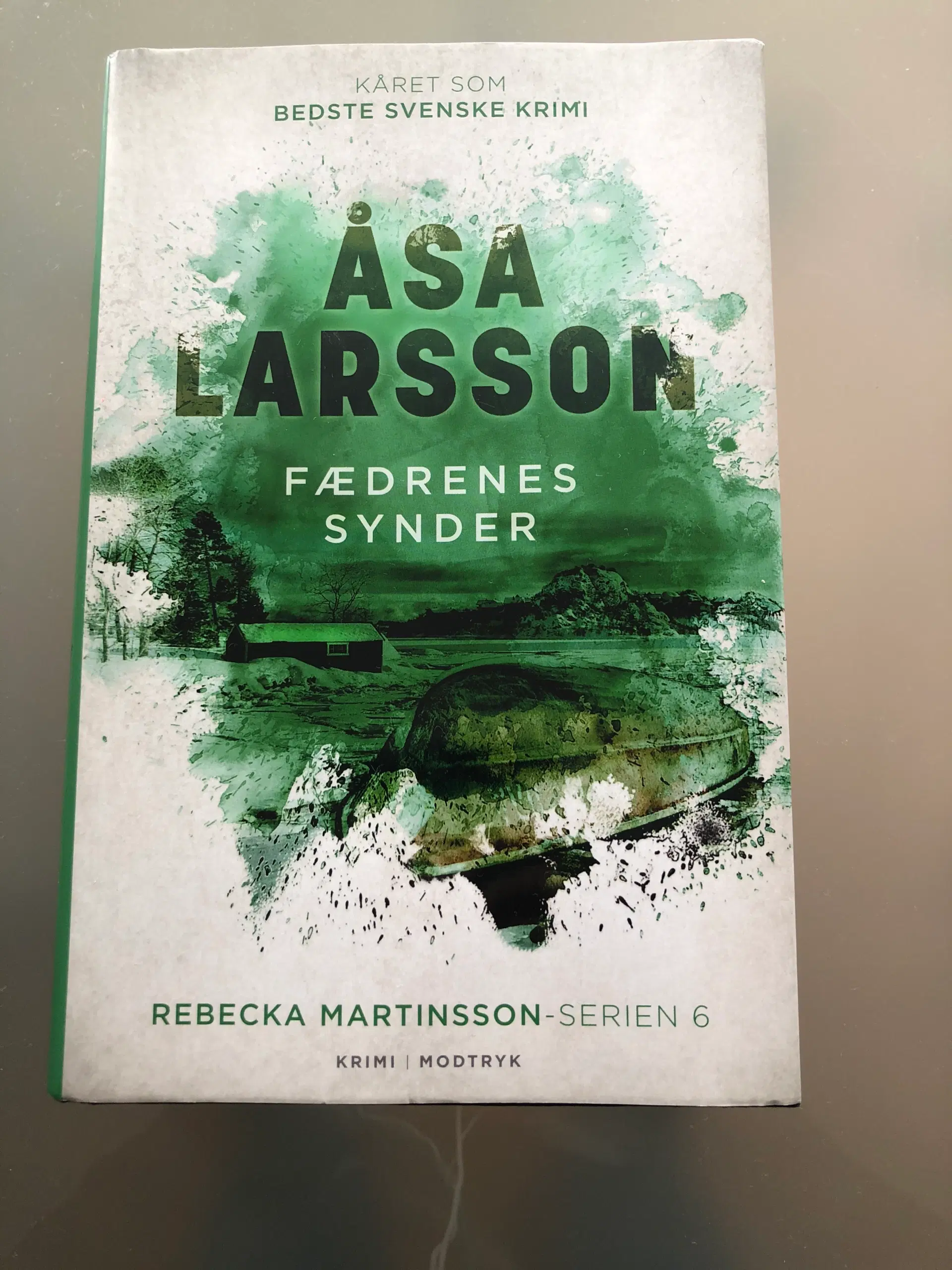 Fædrenes synder- Åsa Larsson