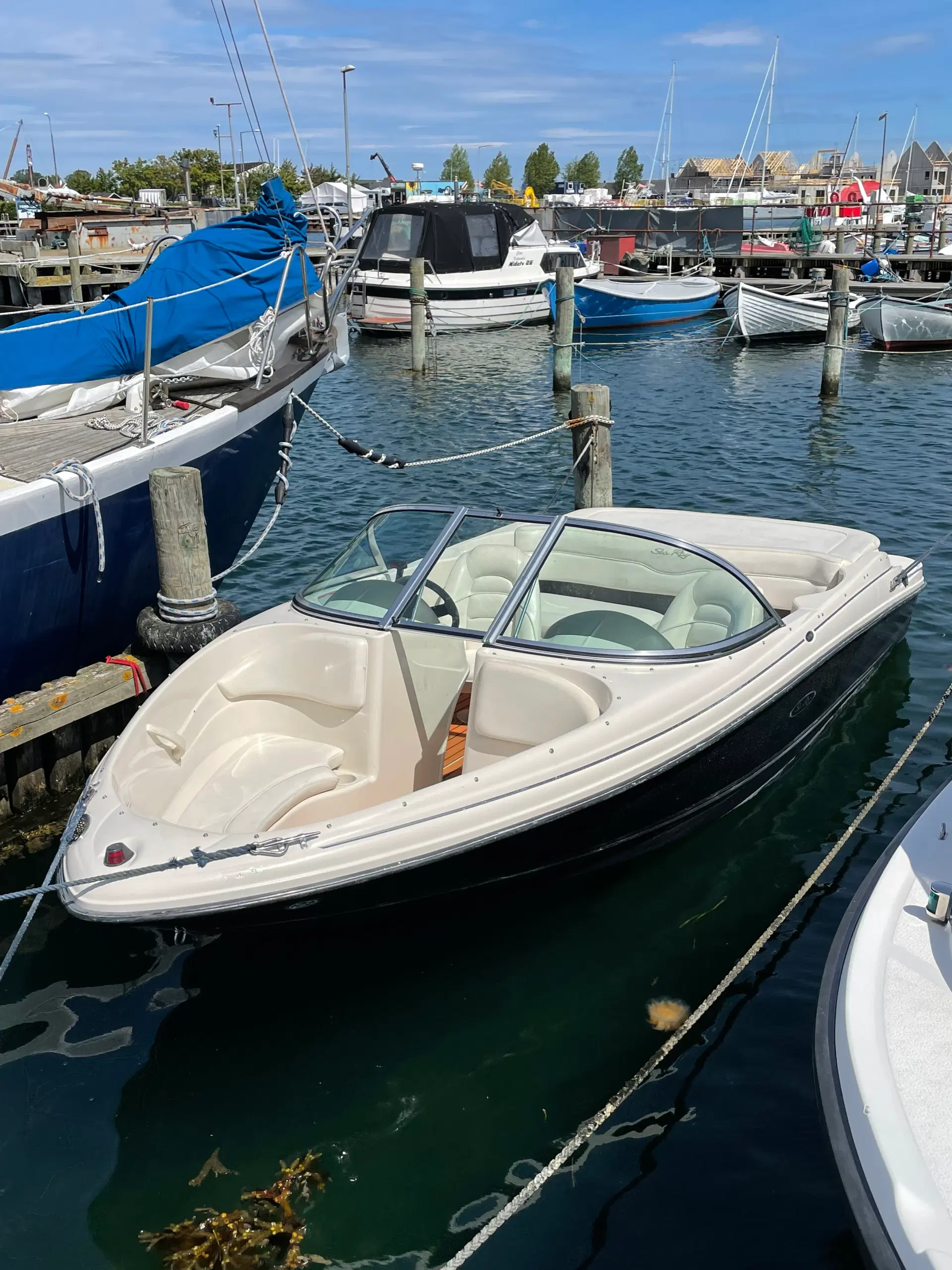 Sea Ray 175 Sport 2007