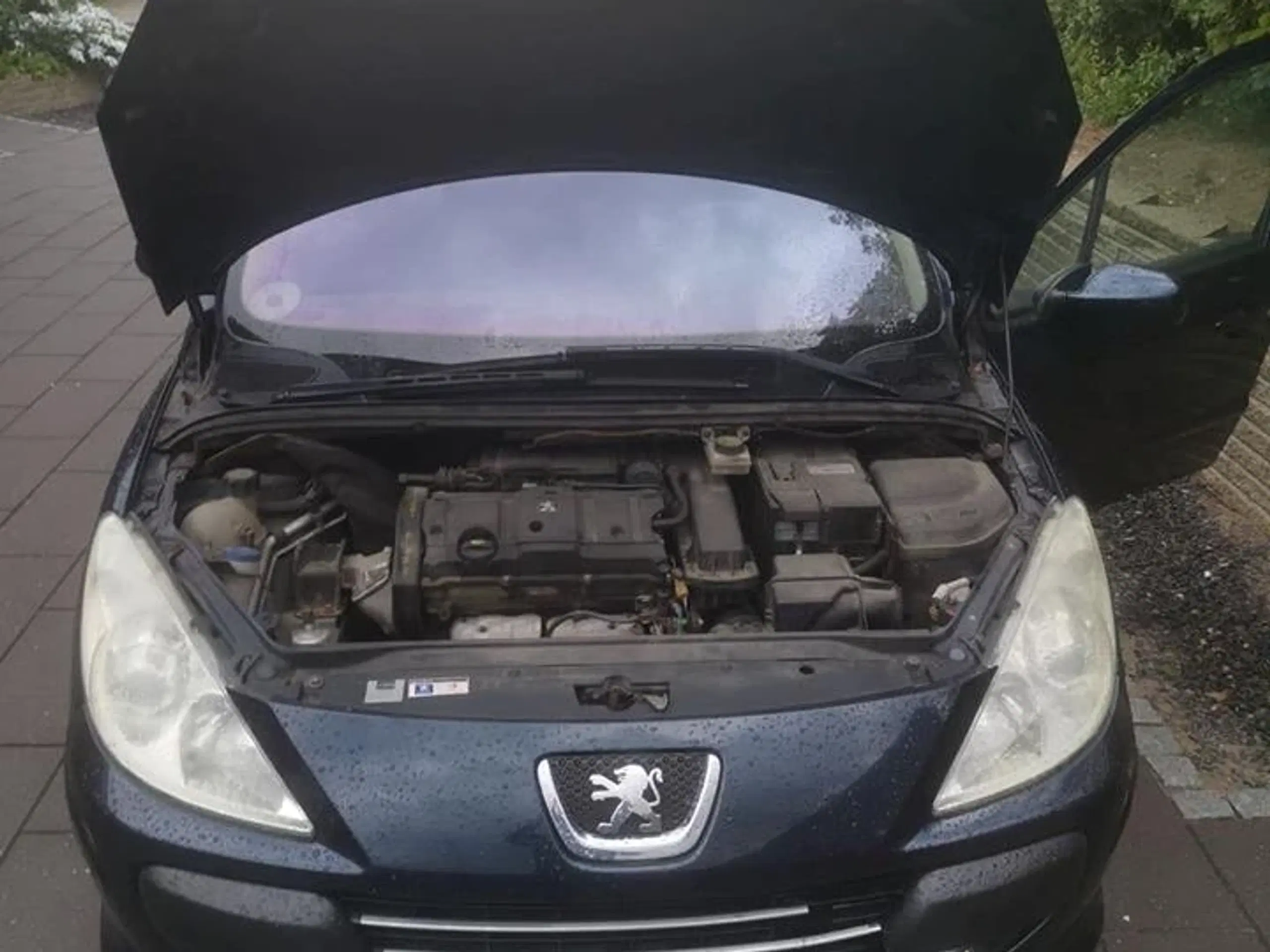 Peugeot 307 stationcar