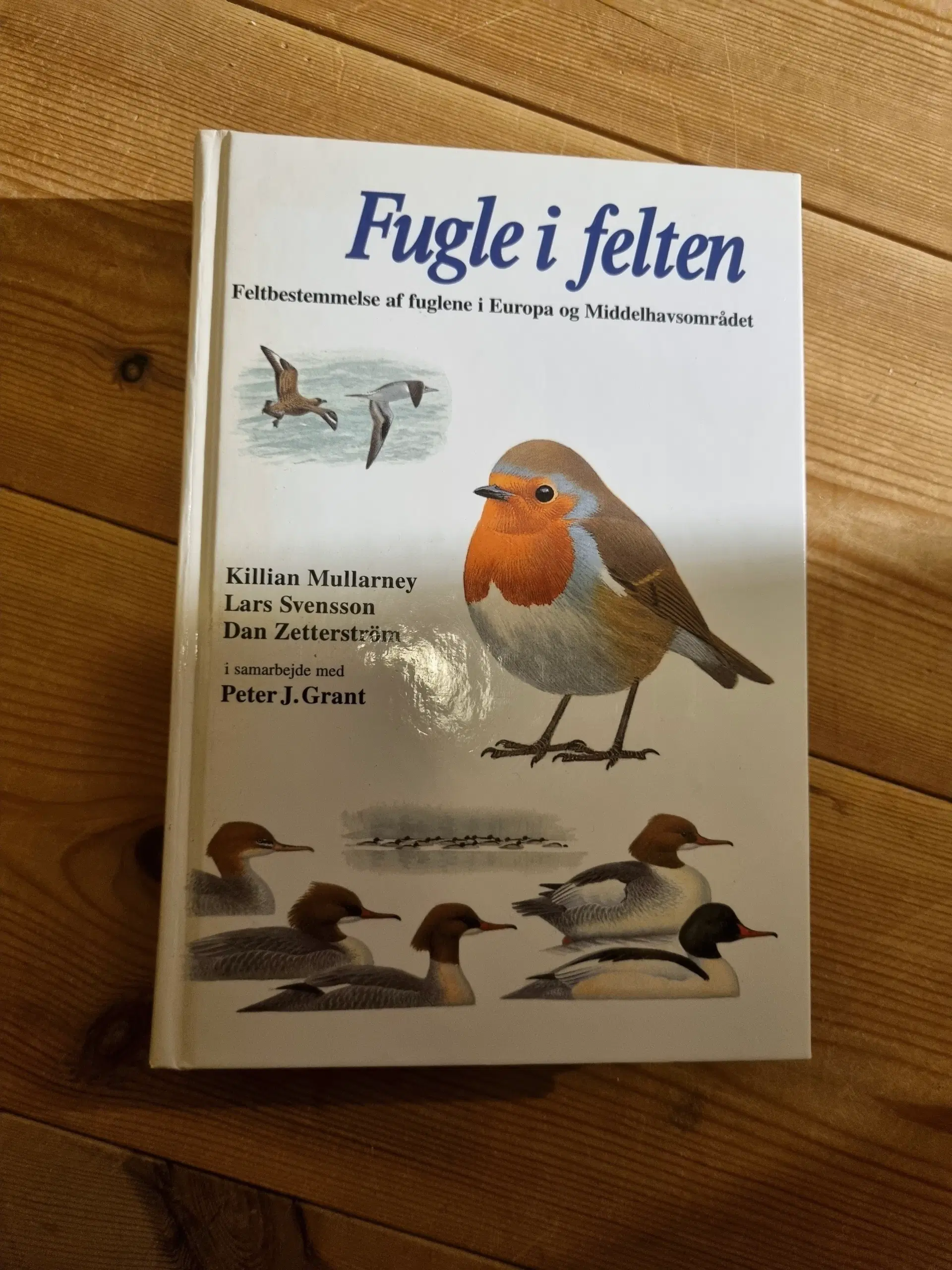 Fugle i felten