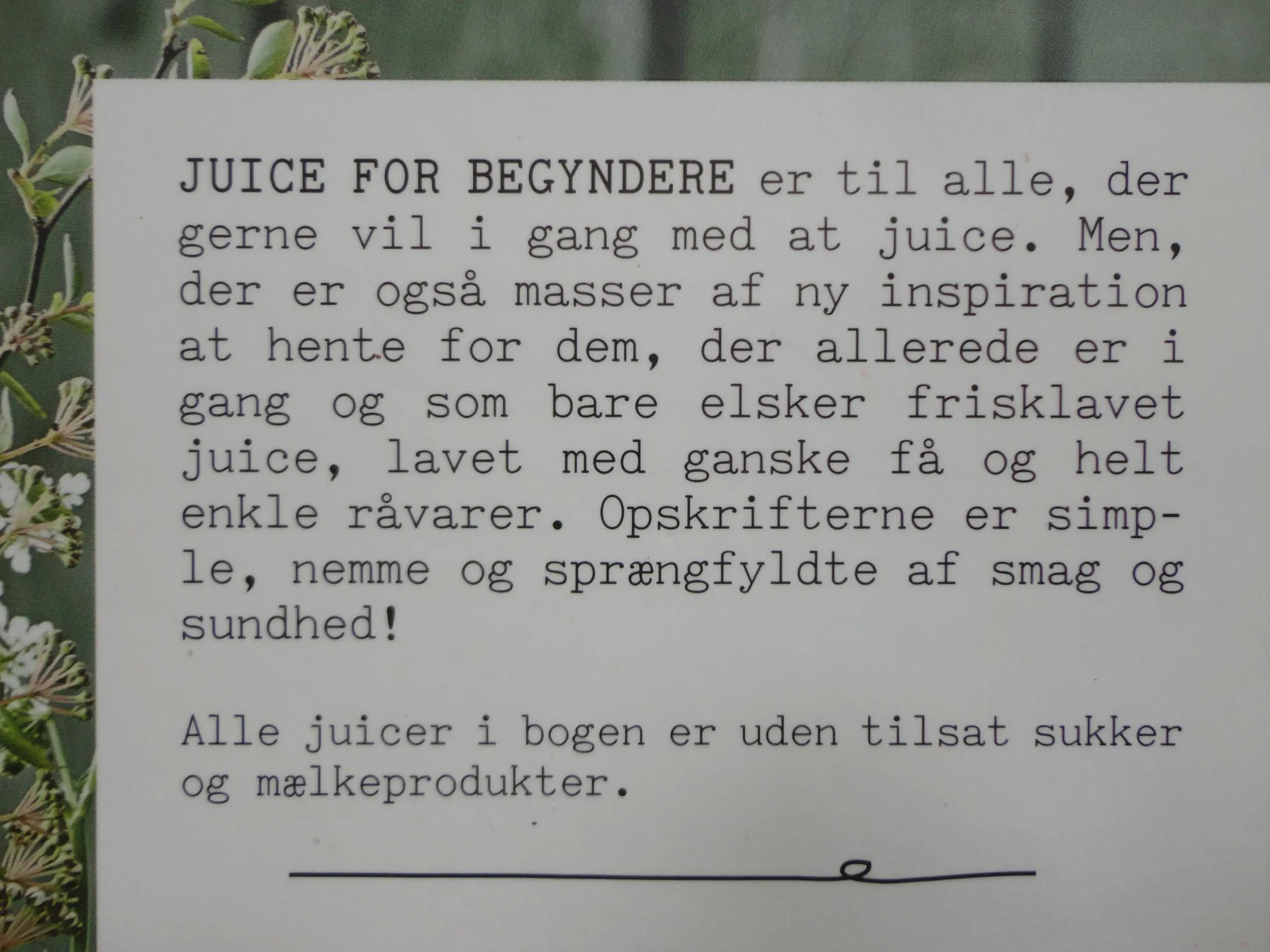 Juice    Madpakke  :