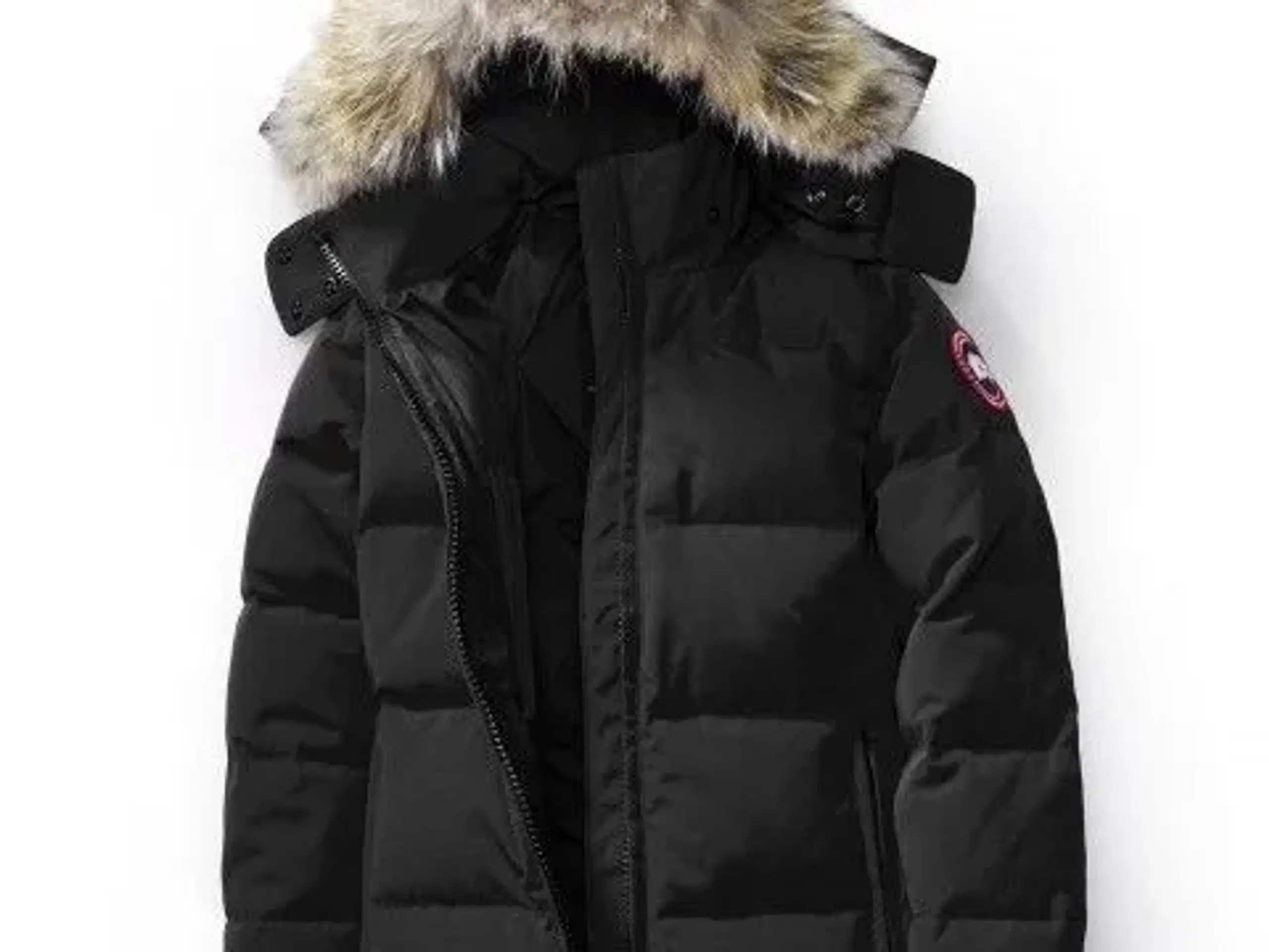 Canada Goose  skal væk nu