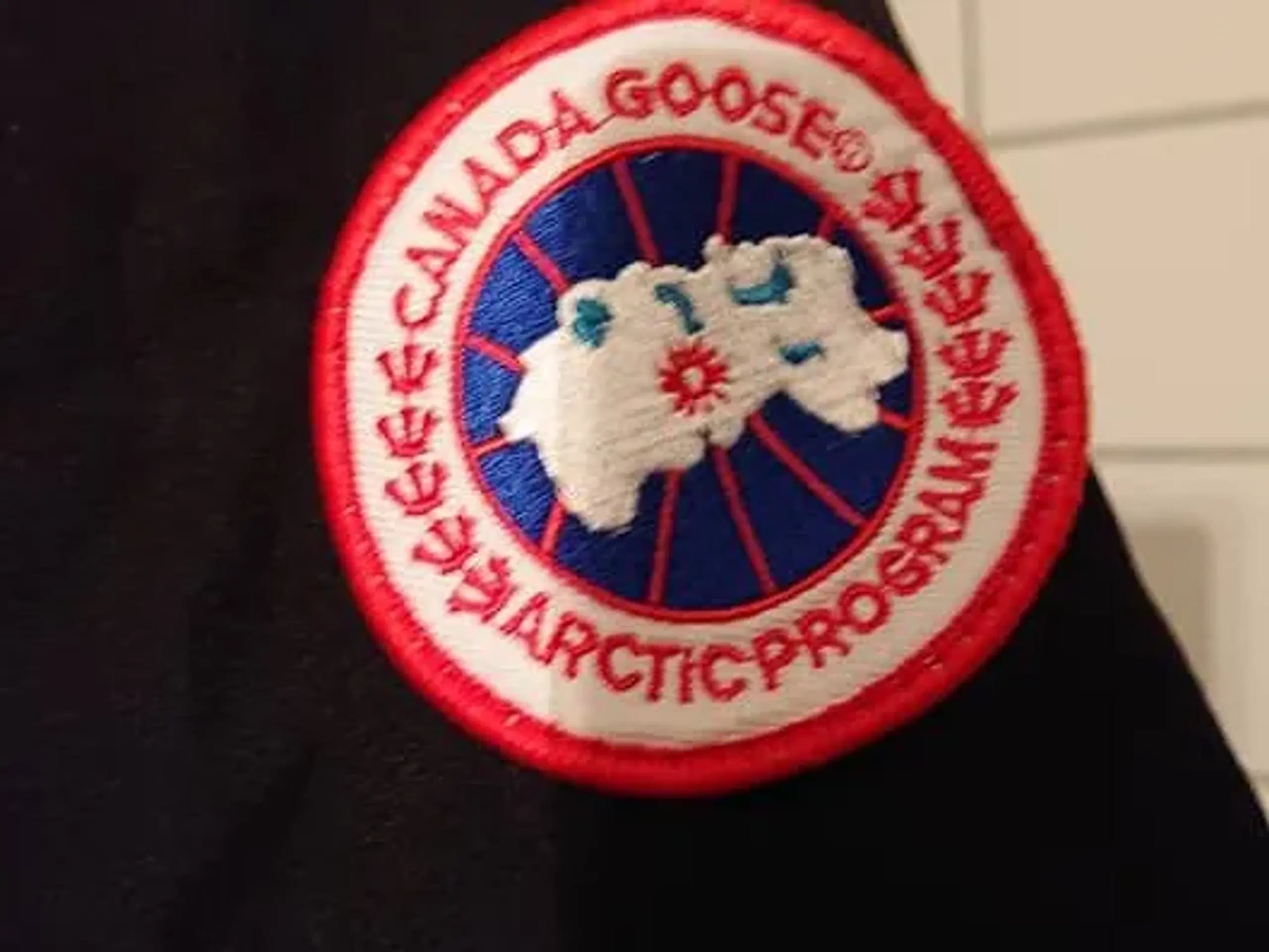 Canada Goose  skal væk nu