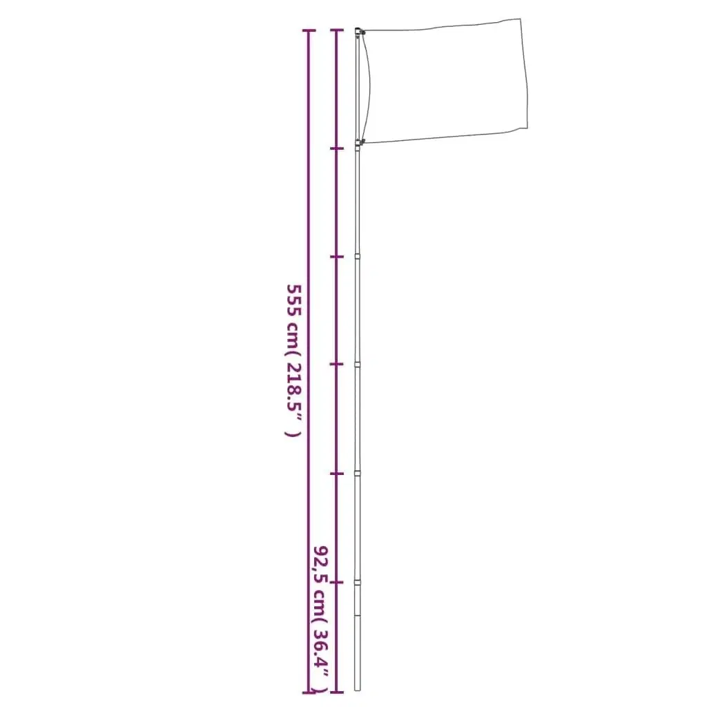 Teleskopflagstang 55 m aluminium sølvfarvet