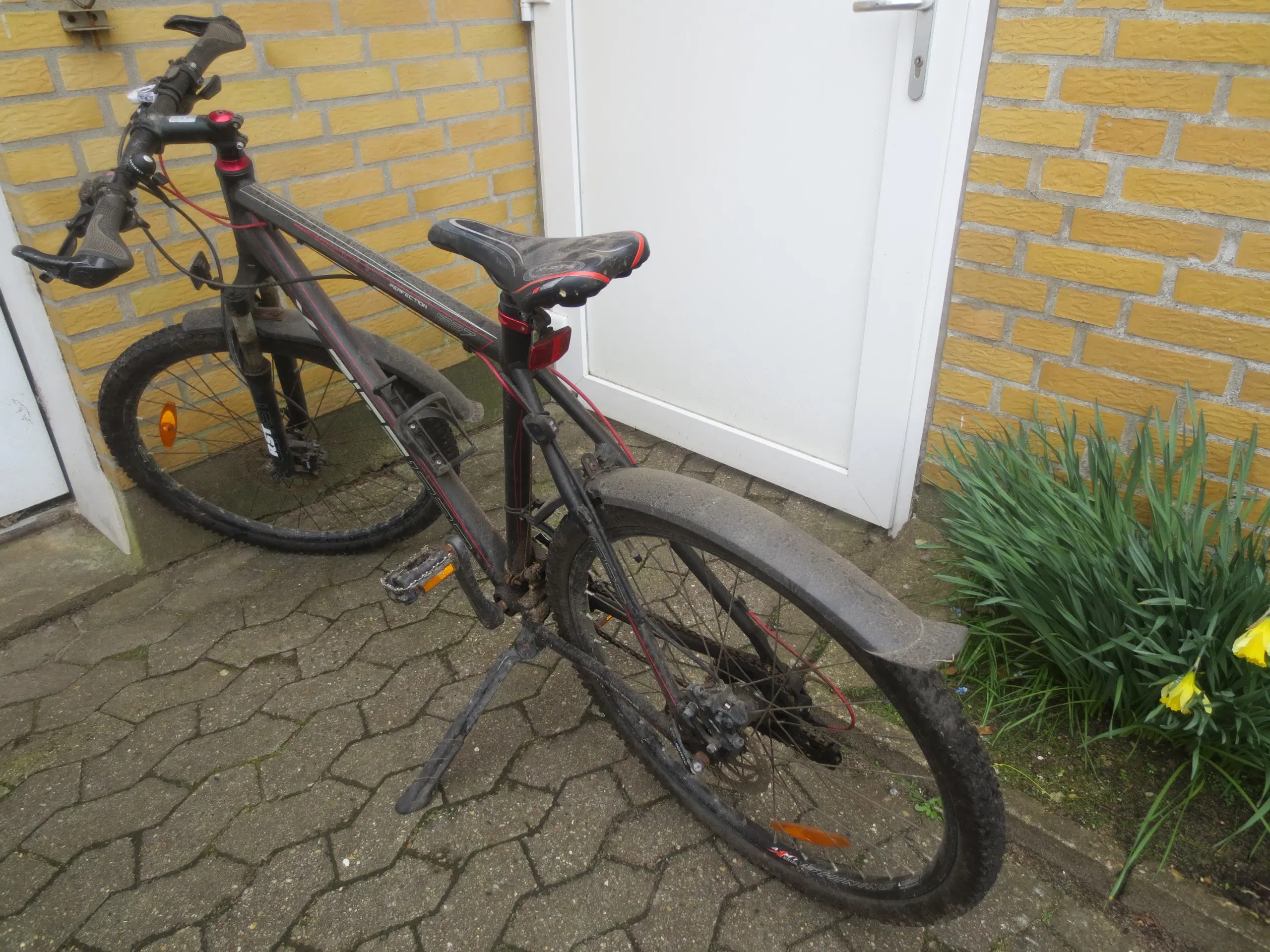 1 stk Mountainbike X-zite 1327