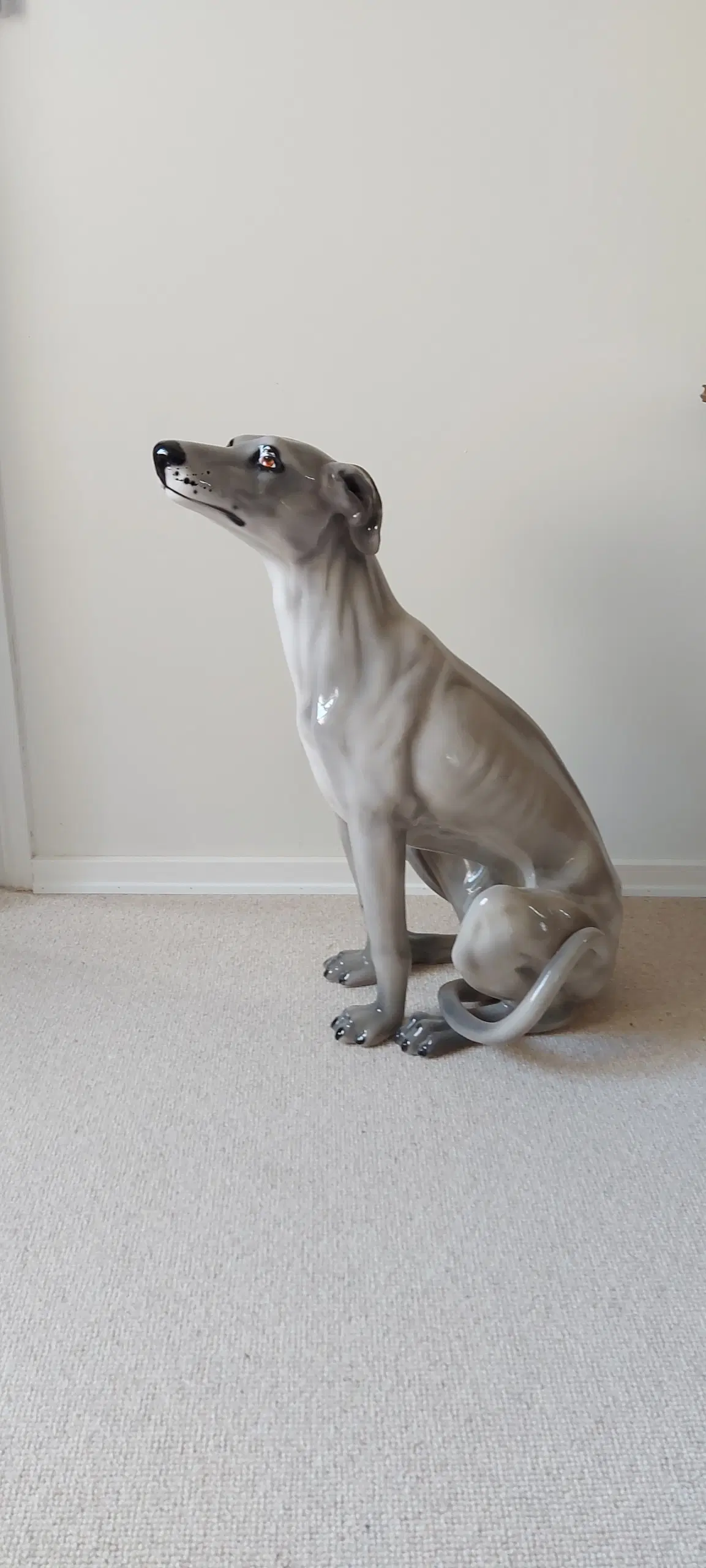 Porcelænshund