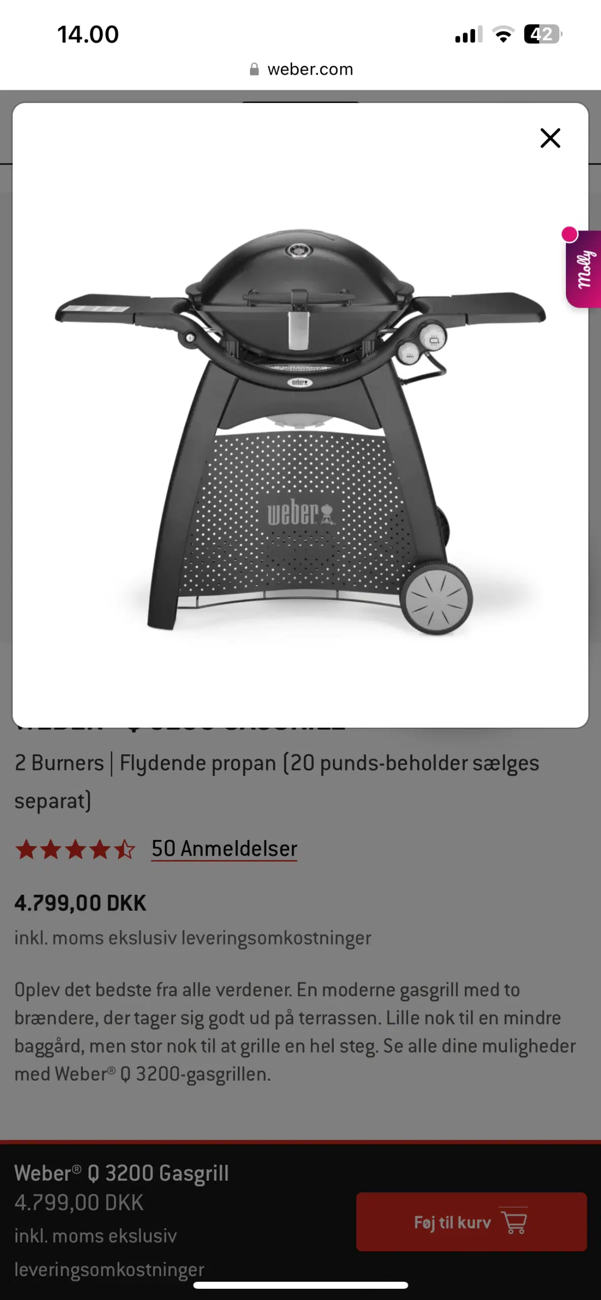 Gas grill Weber Q3200