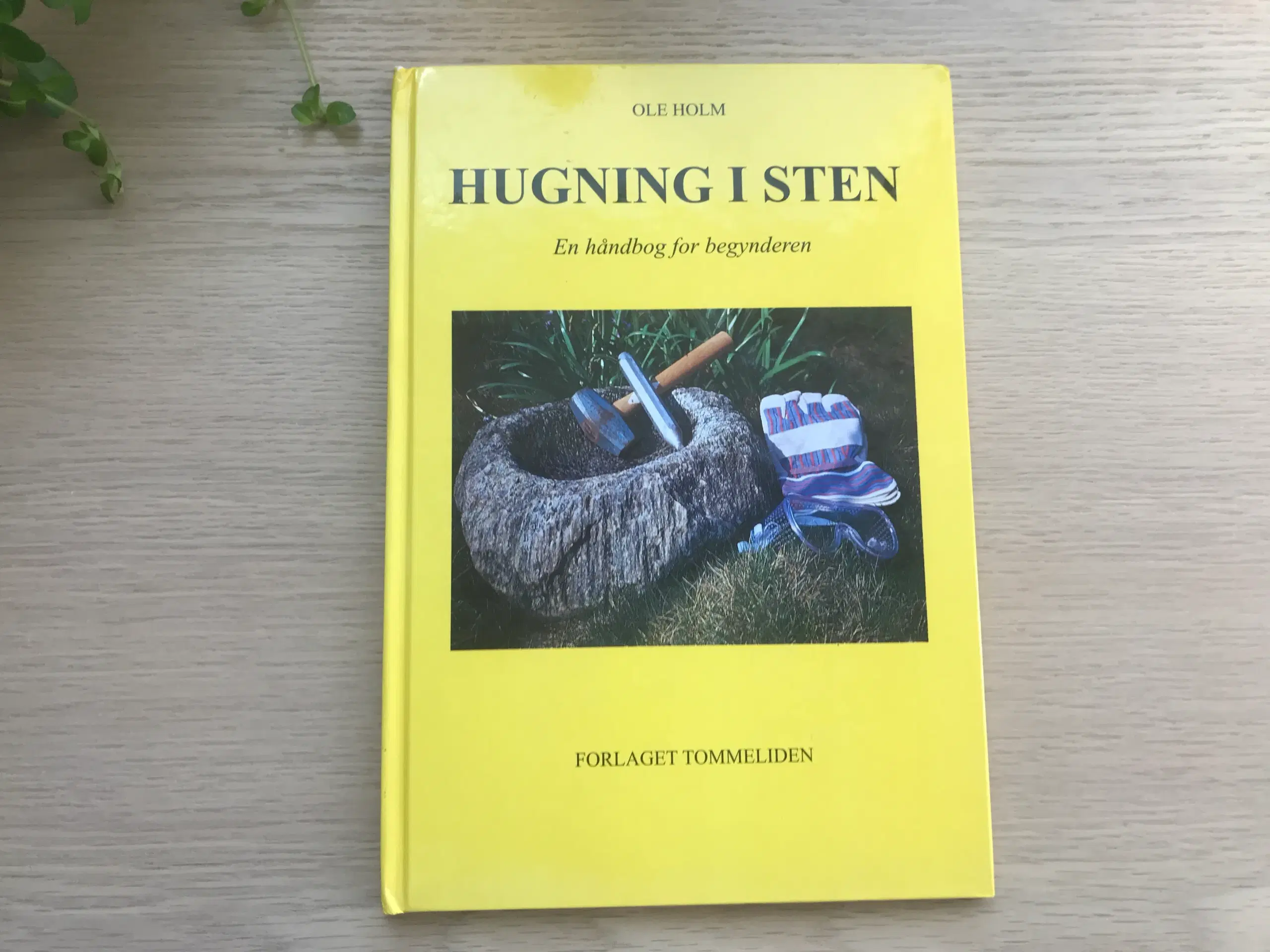 Hugning i sten - en håndbog for begynderen