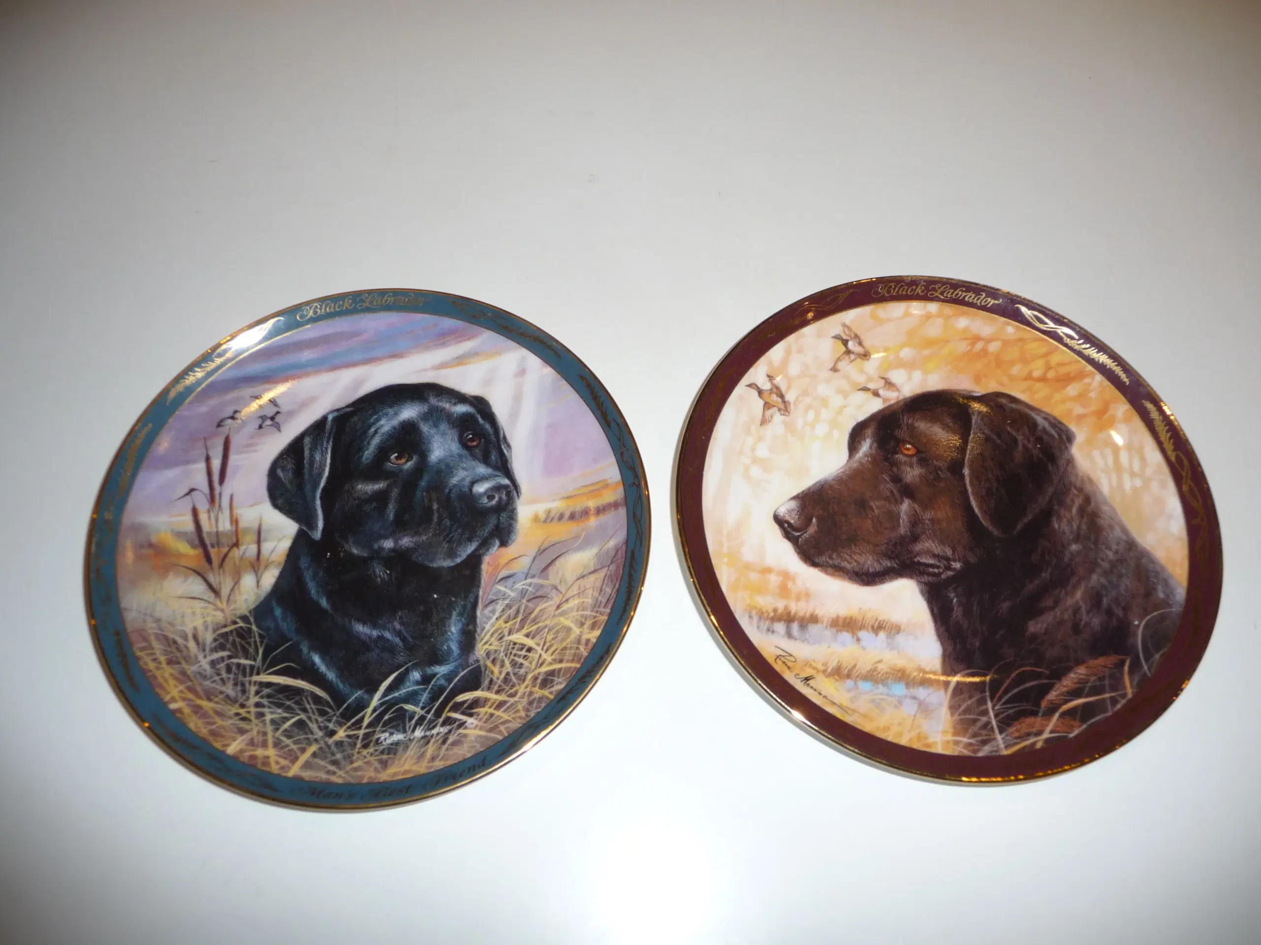 Royal Doulton Black Labrador