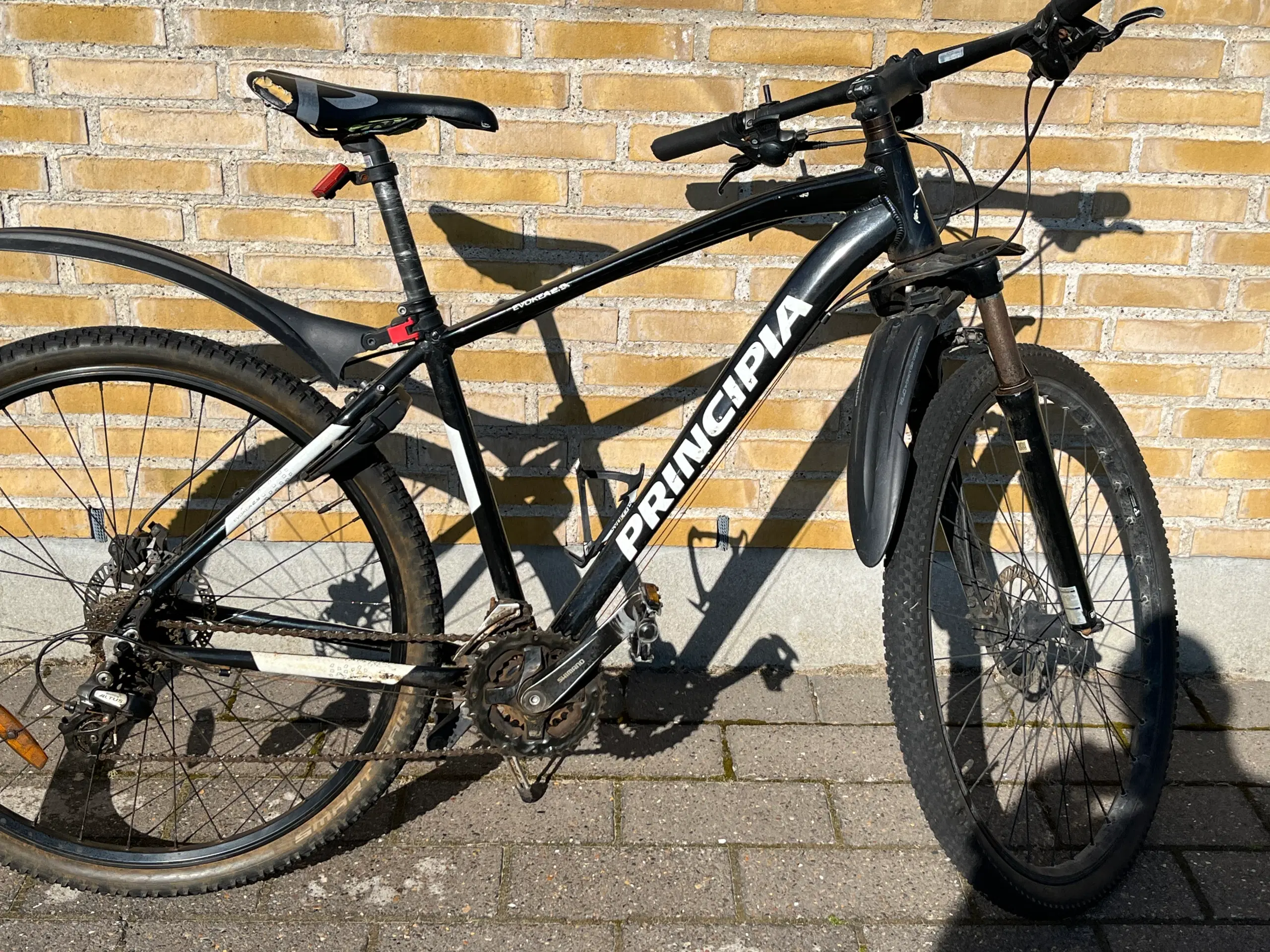 Mountainbike Principia