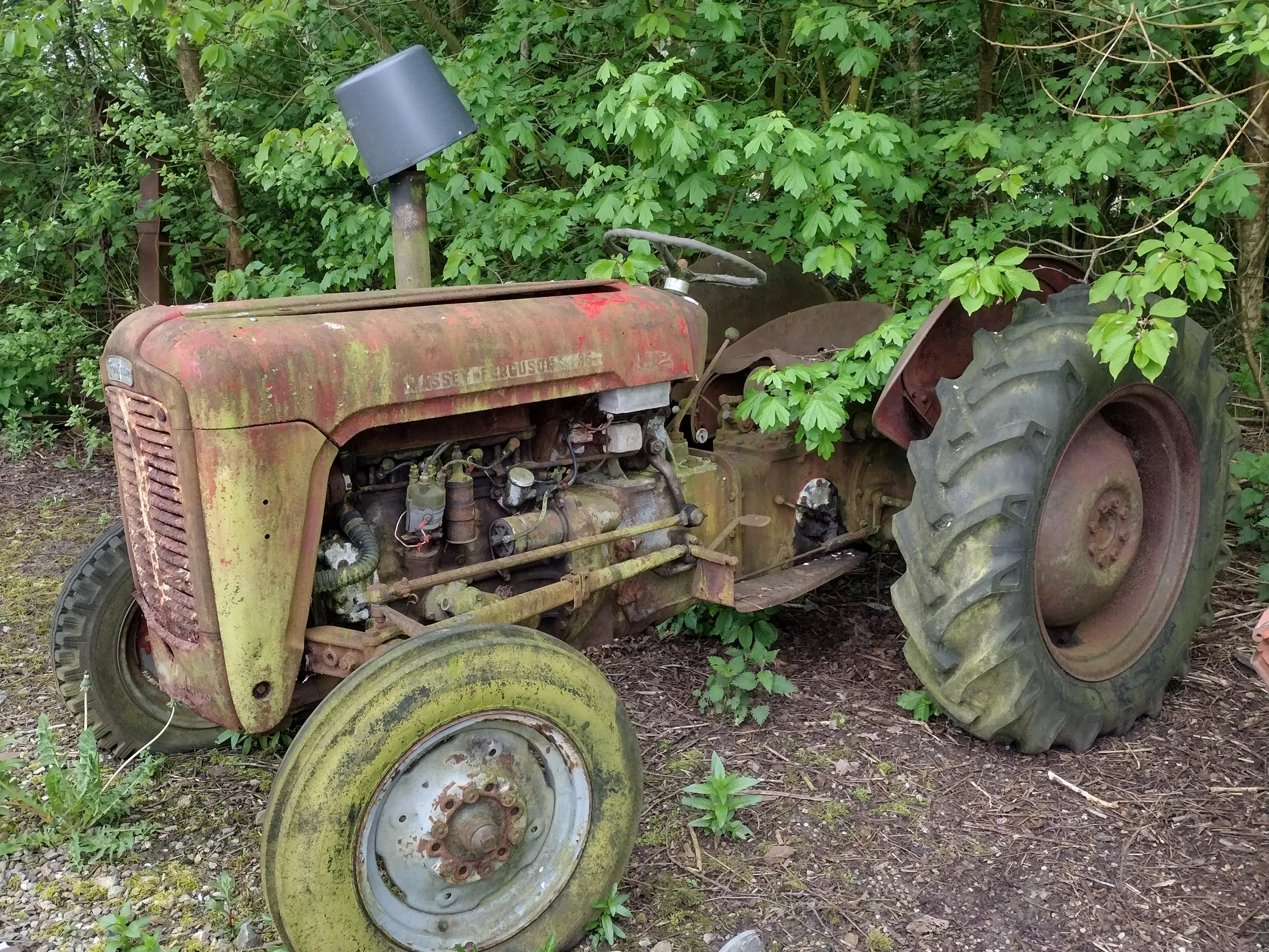 Massey Ferguson 35 - MF35