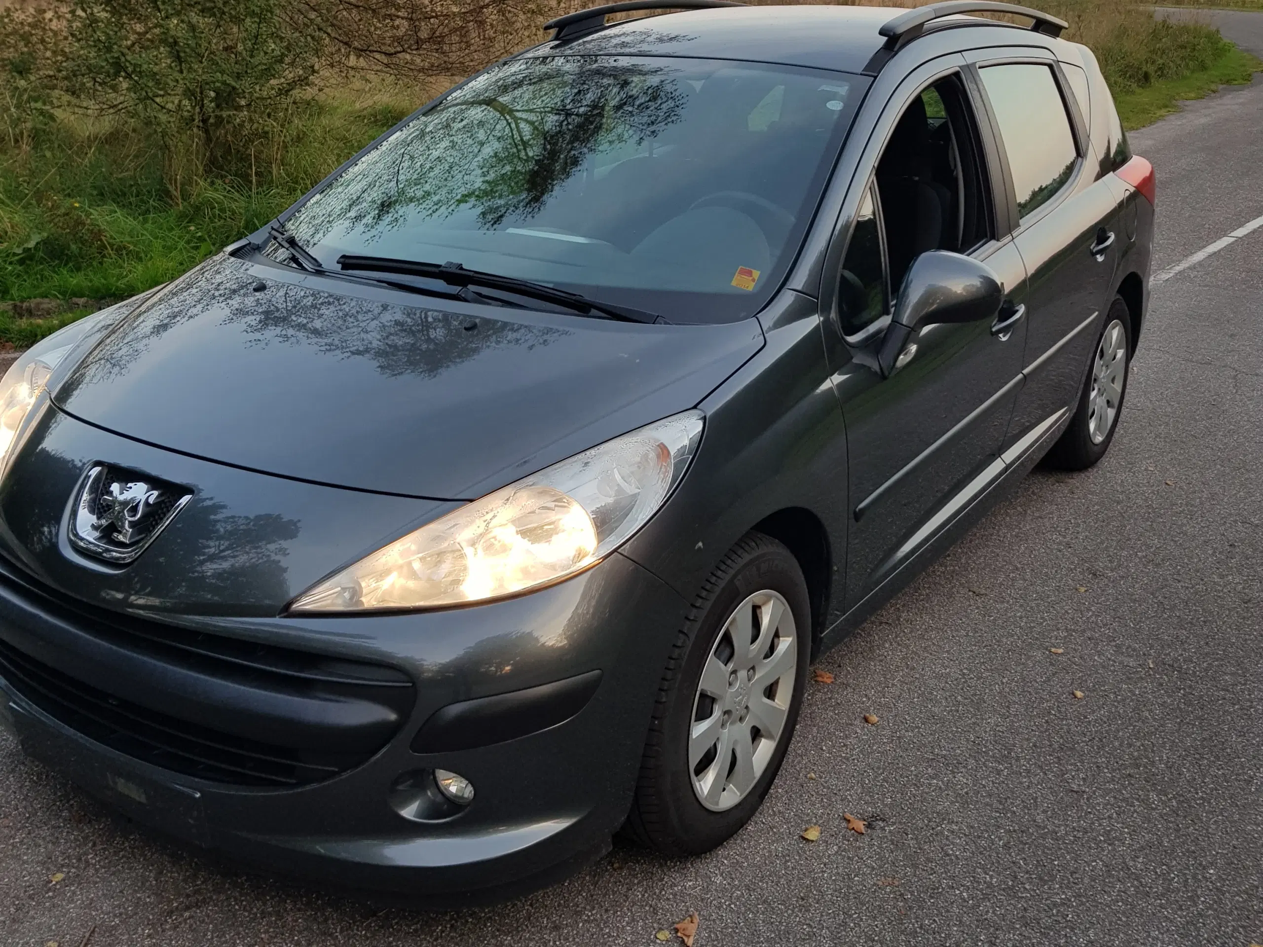 Peugeot 207 16 HDI  StCar Årg 2009