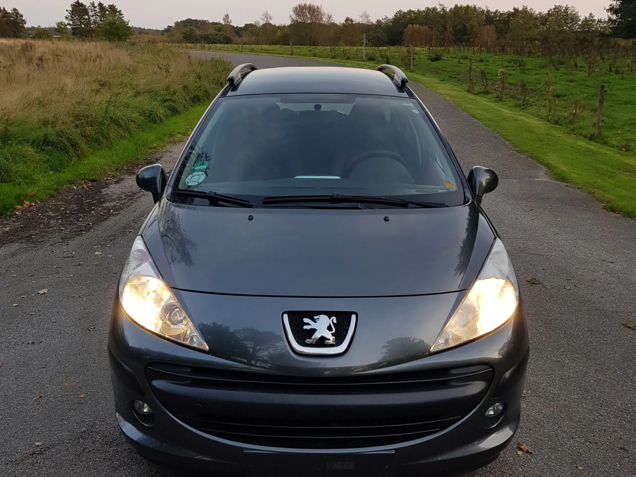 Peugeot 207 16 HDI  StCar Årg 2009