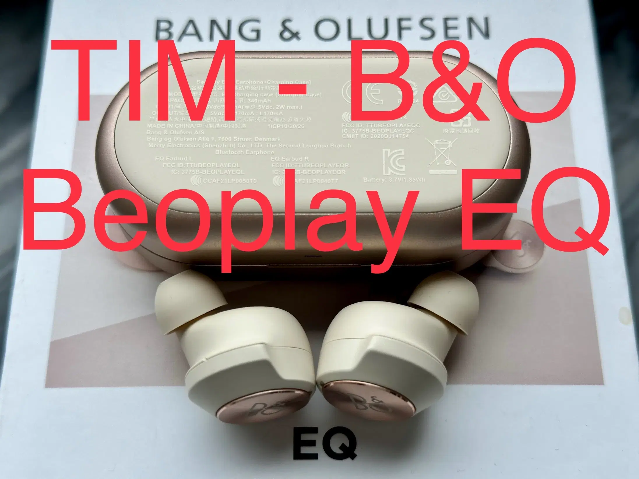 BO Beoplay EQ