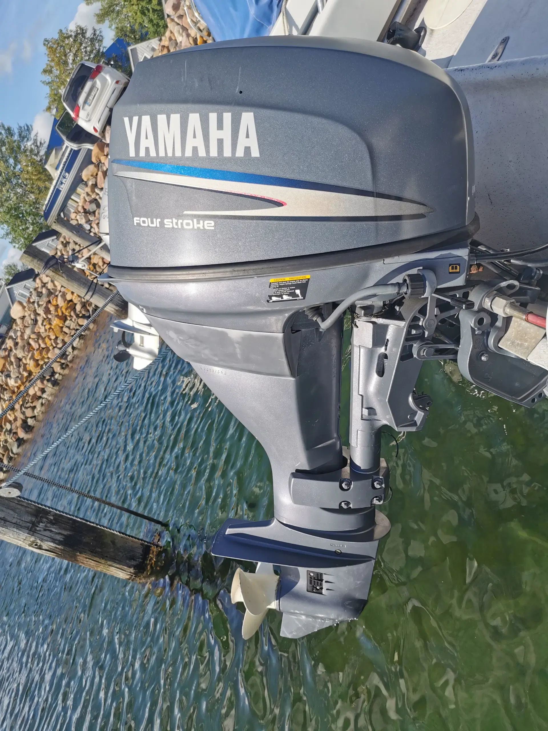 Yamaha F25