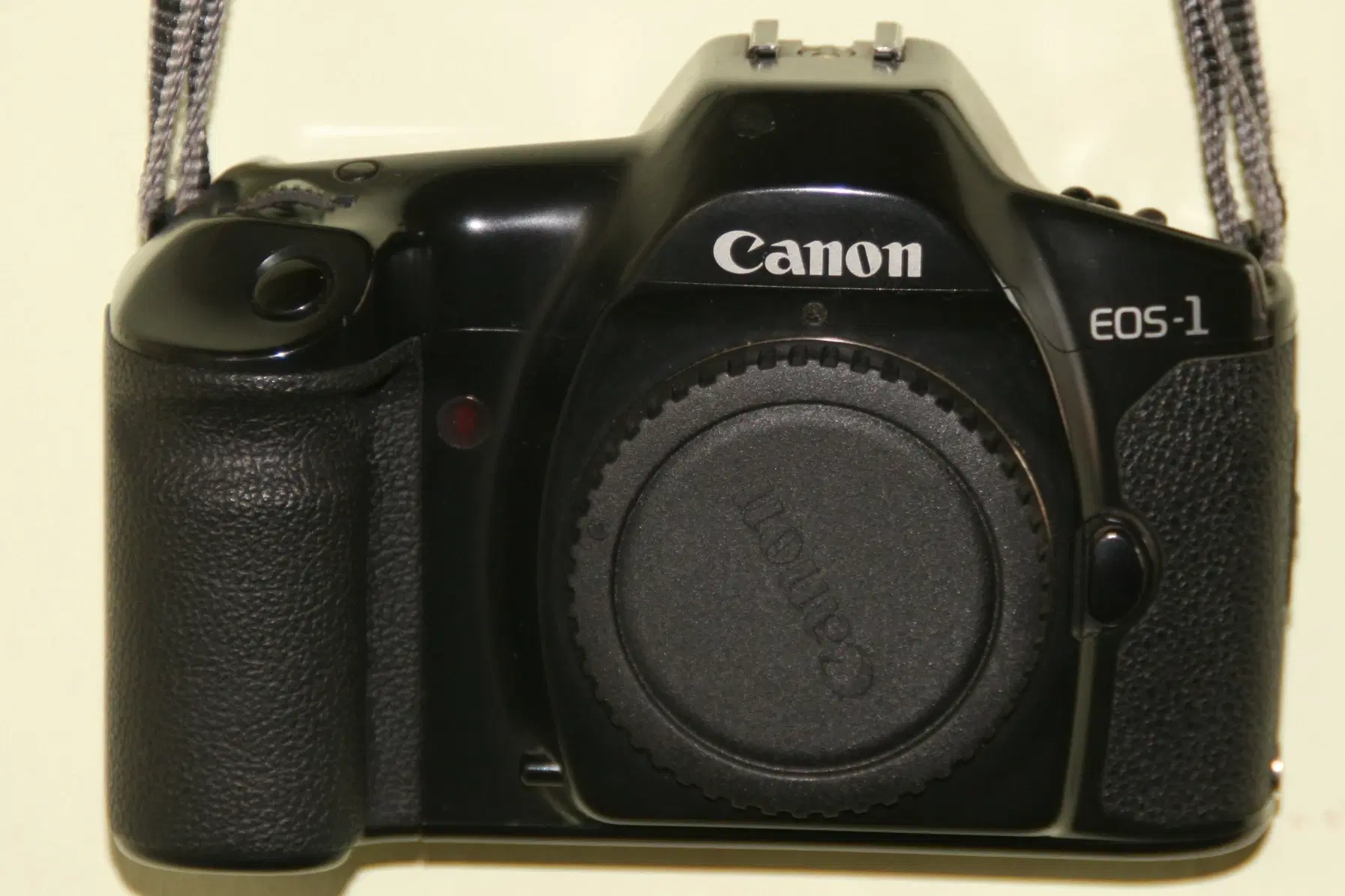 Canon EOS 1F