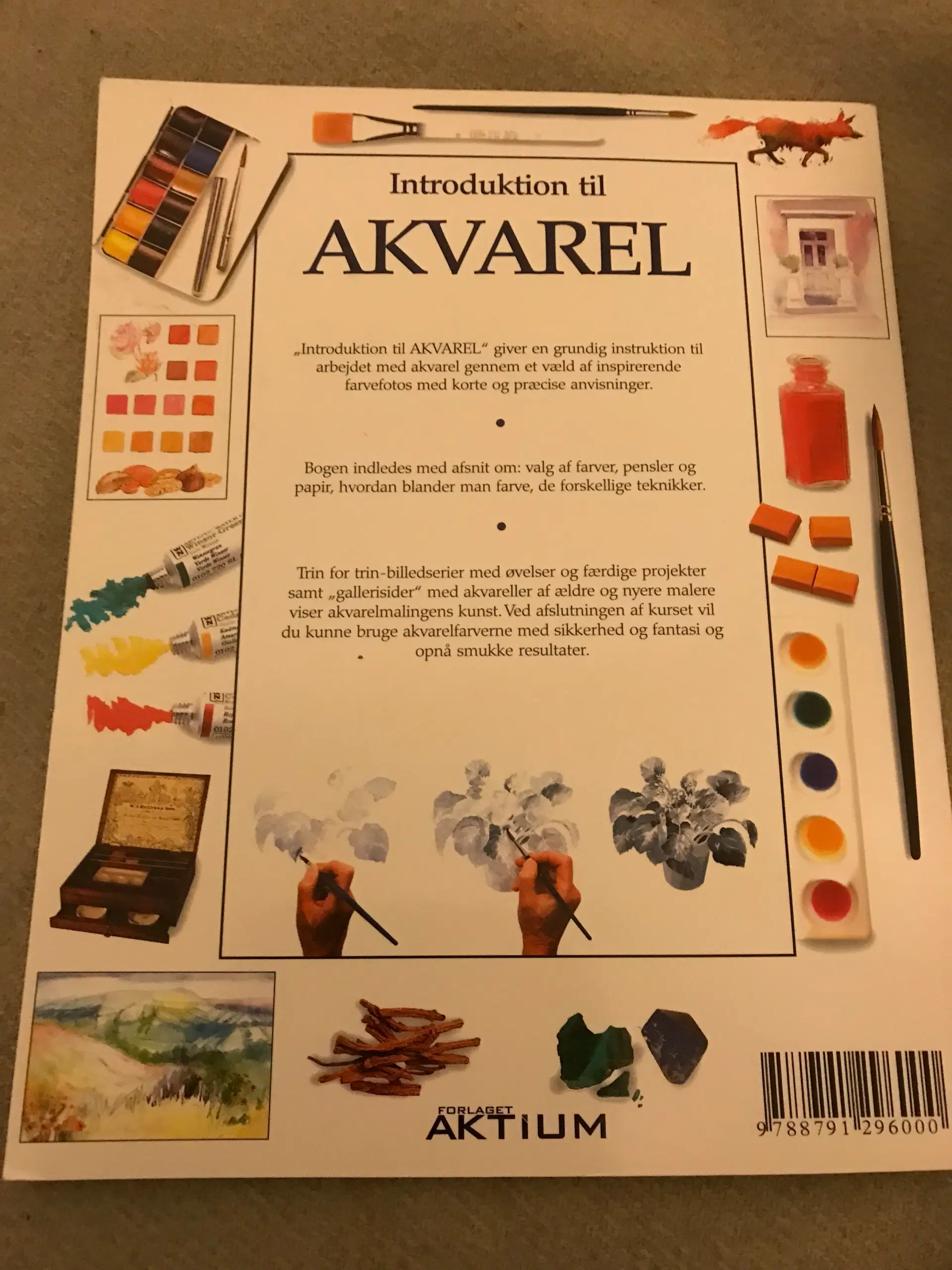 Introduktion Til Akvarel Lærebog i Maleri