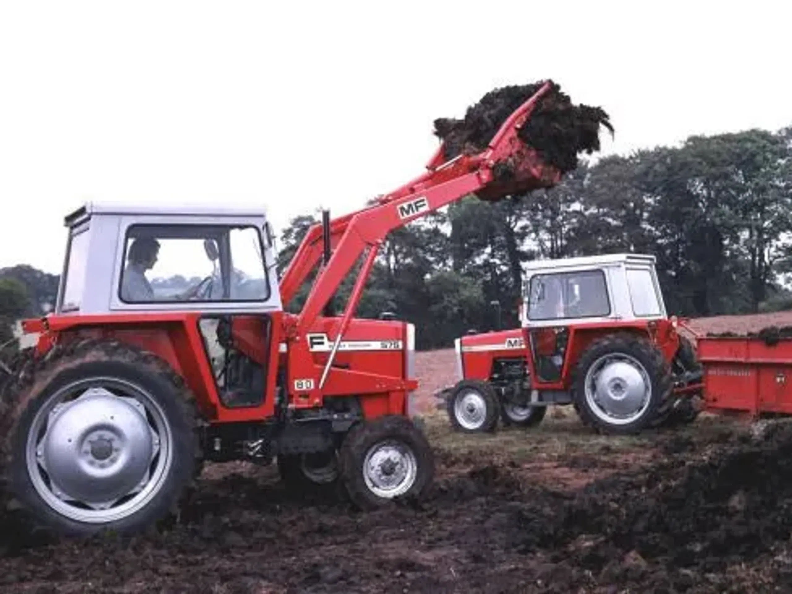 KØBER af Massey ferguson til samling