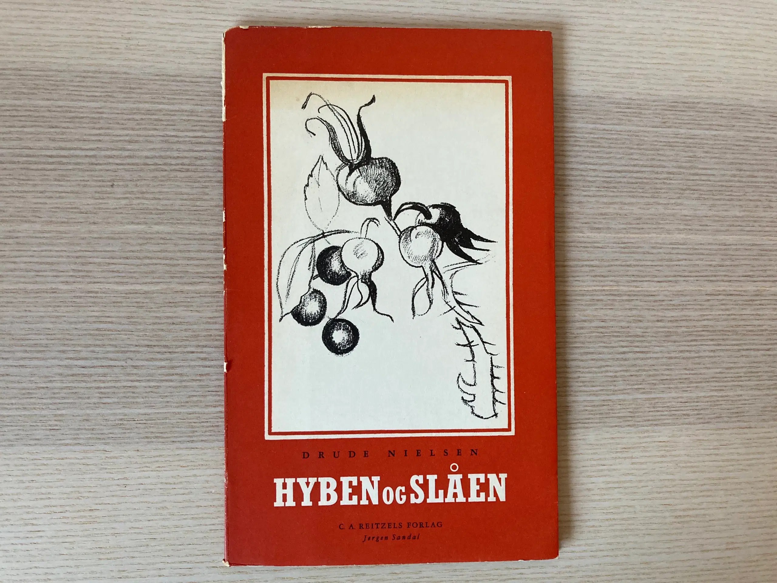 Hyben og Slåen - Drude Nielsen