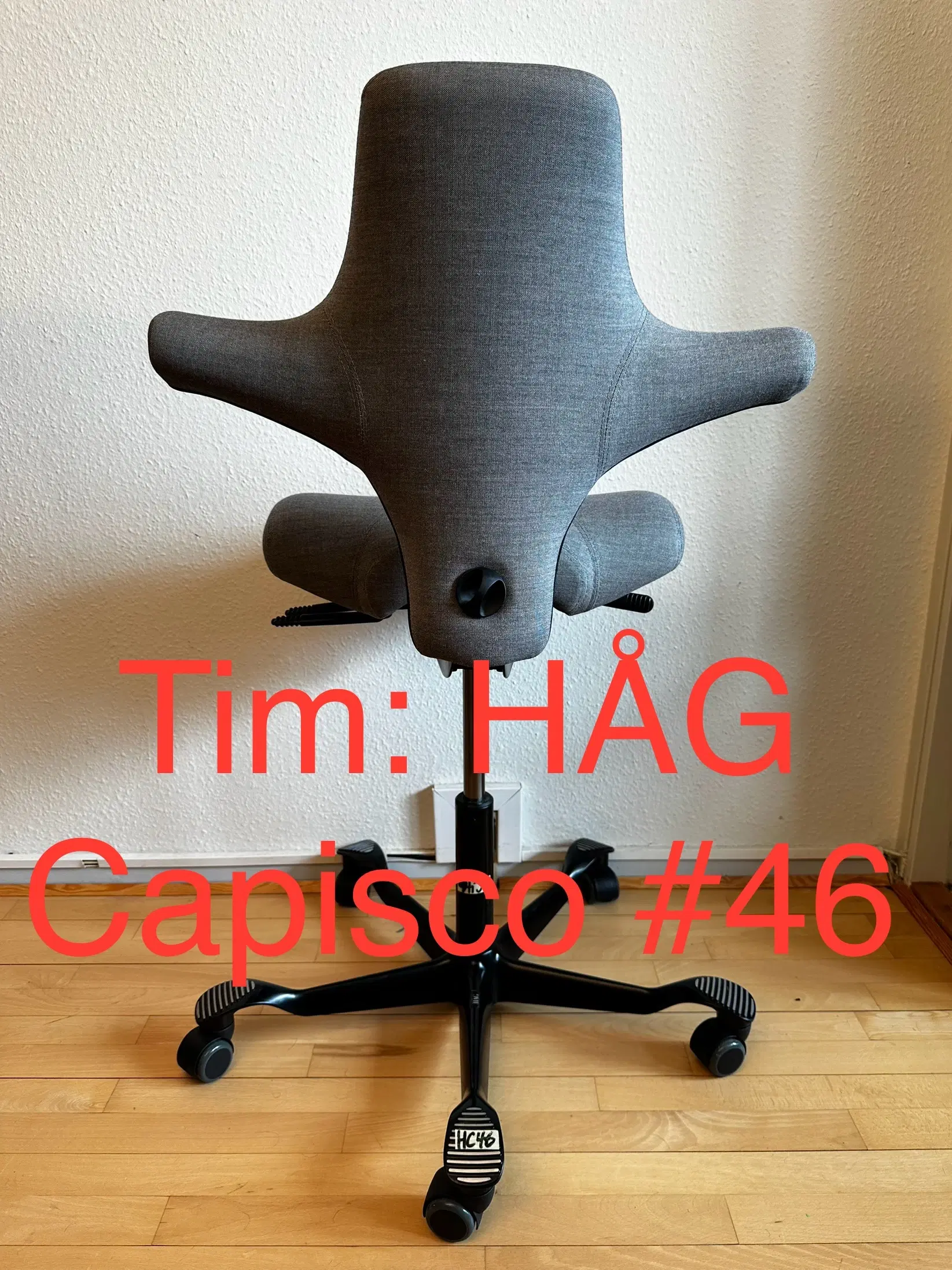 HÅG Capisco 8106