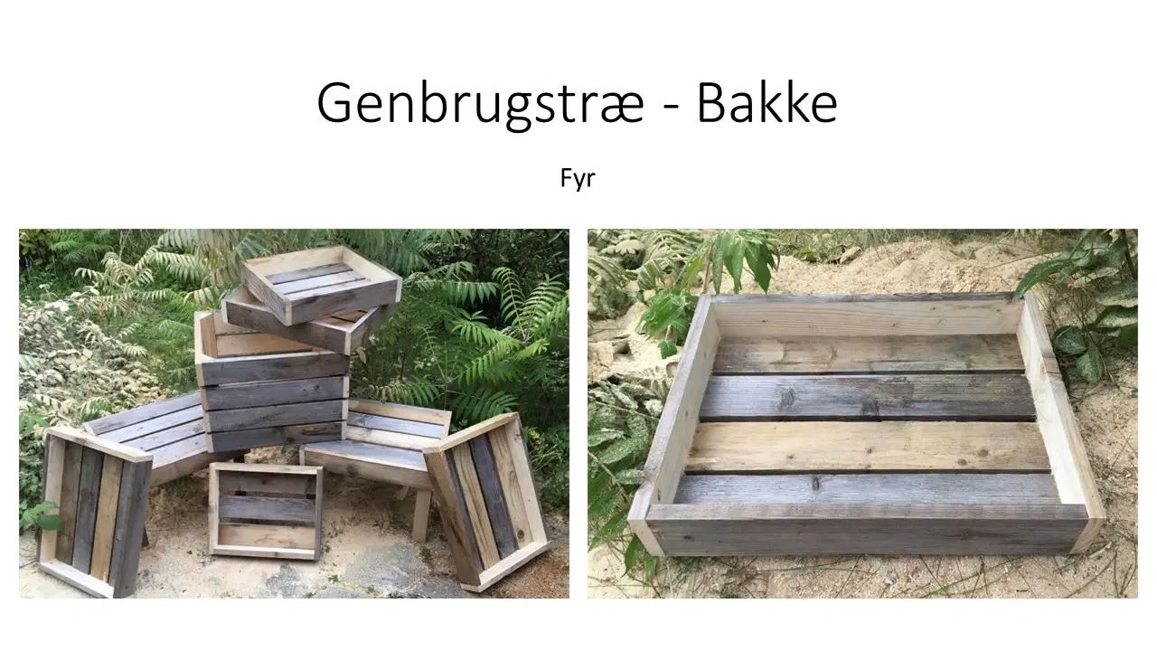 Bakke i genbrugstræ fyr