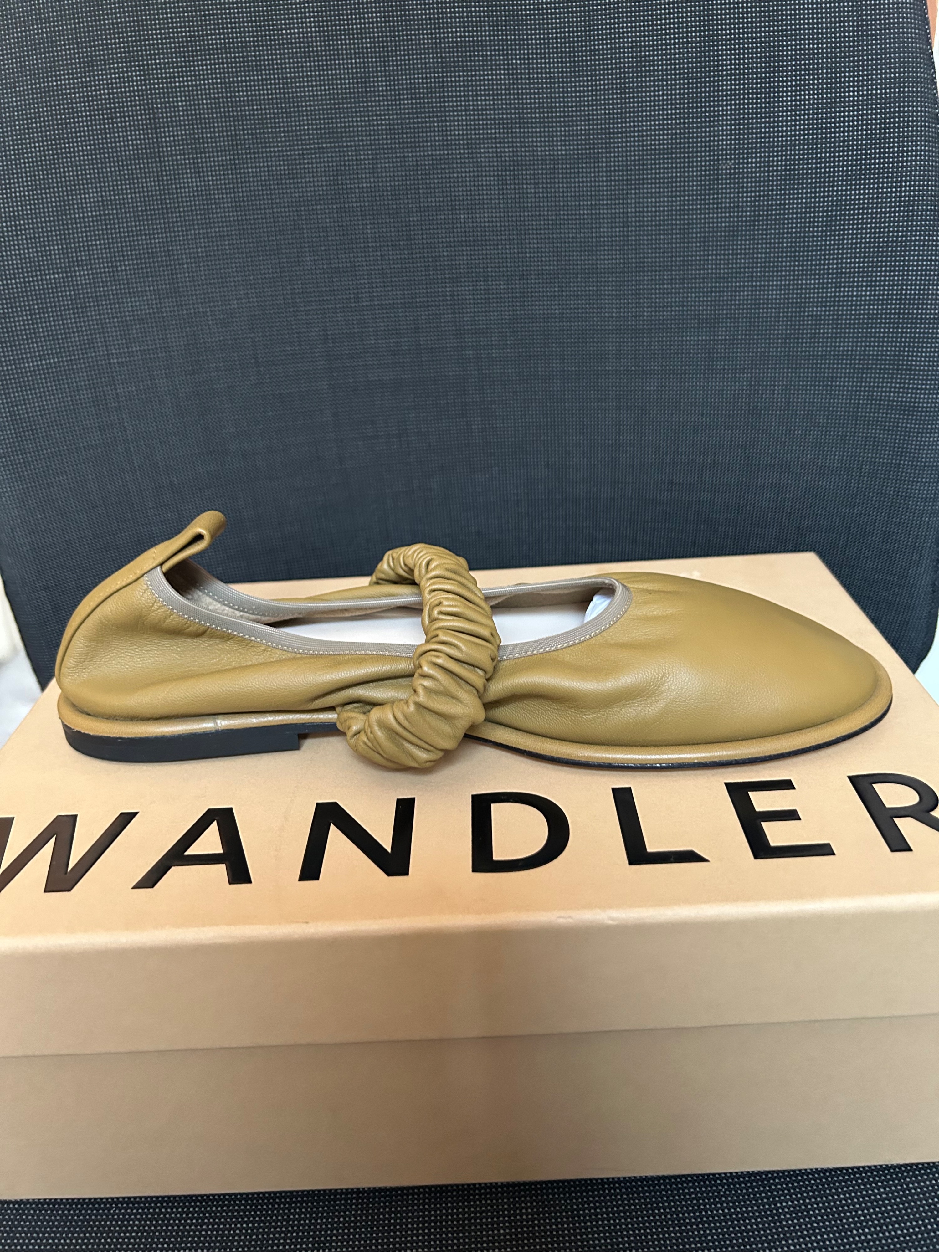 Wandler Leather Cedar Dash Ballerina Flats Size 37